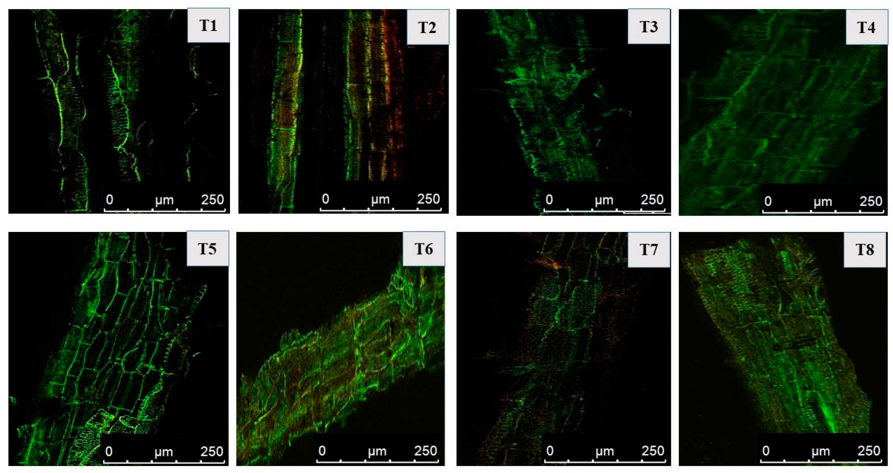 Plants 12 00705 g009