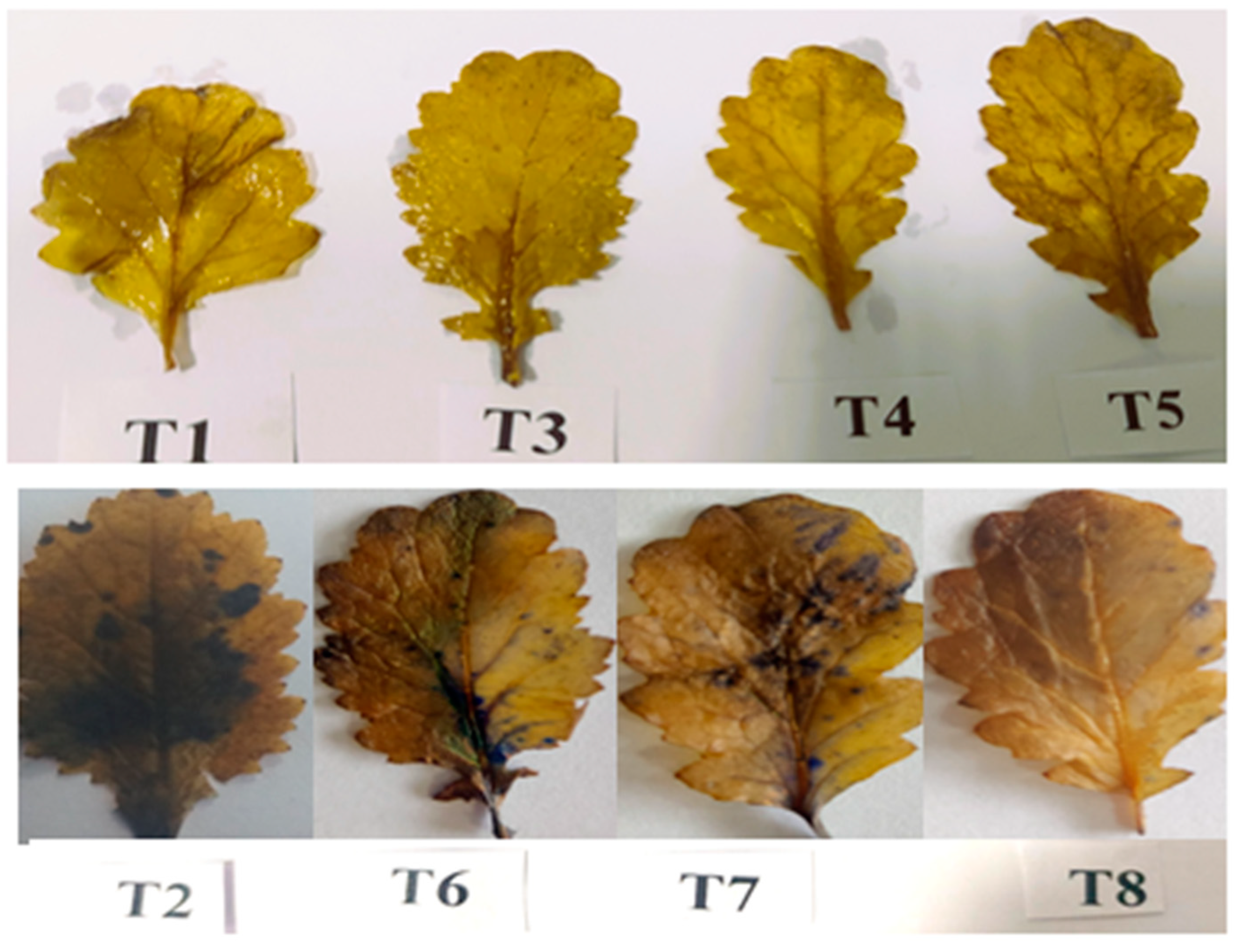 Plants 12 00705 g010