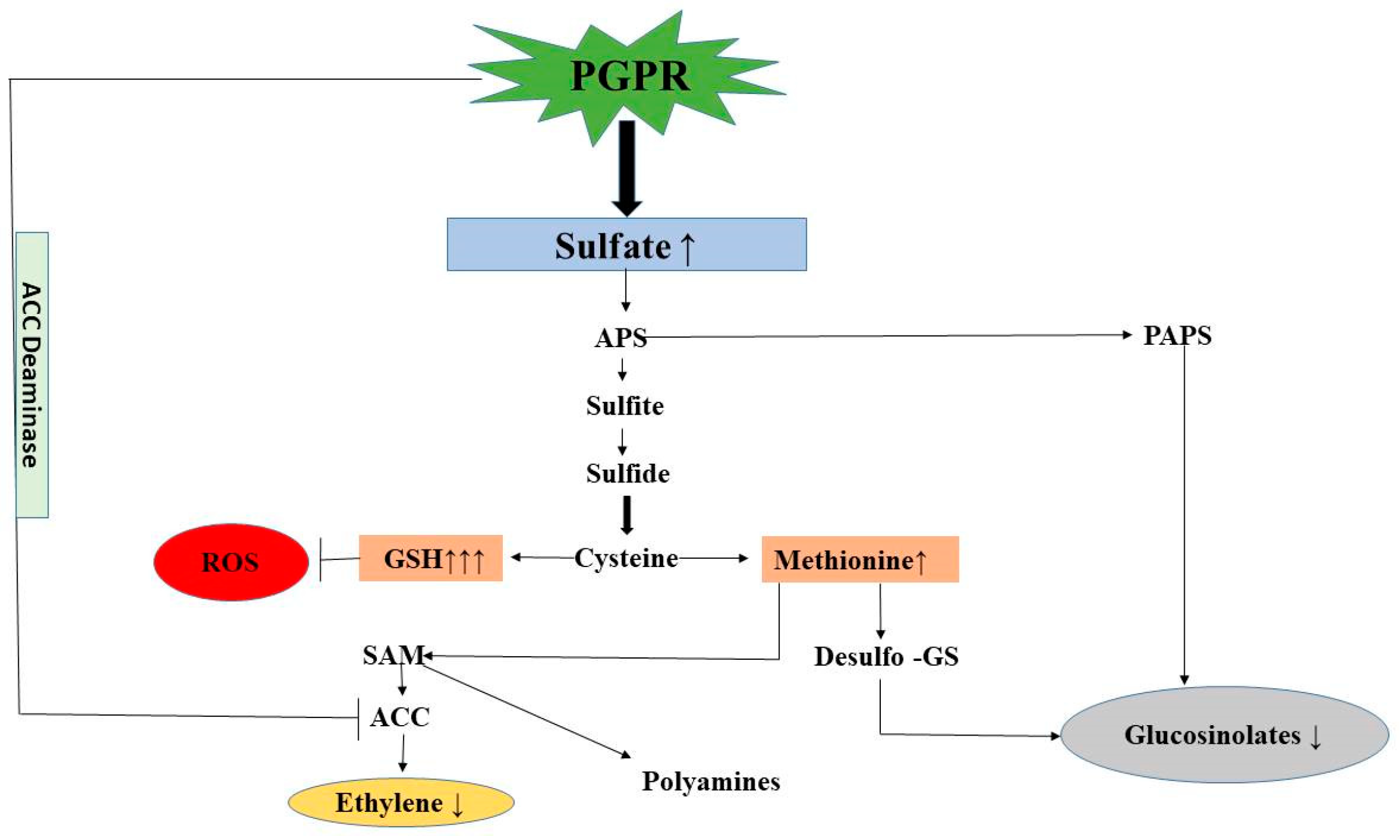 Plants 12 00705 g013
