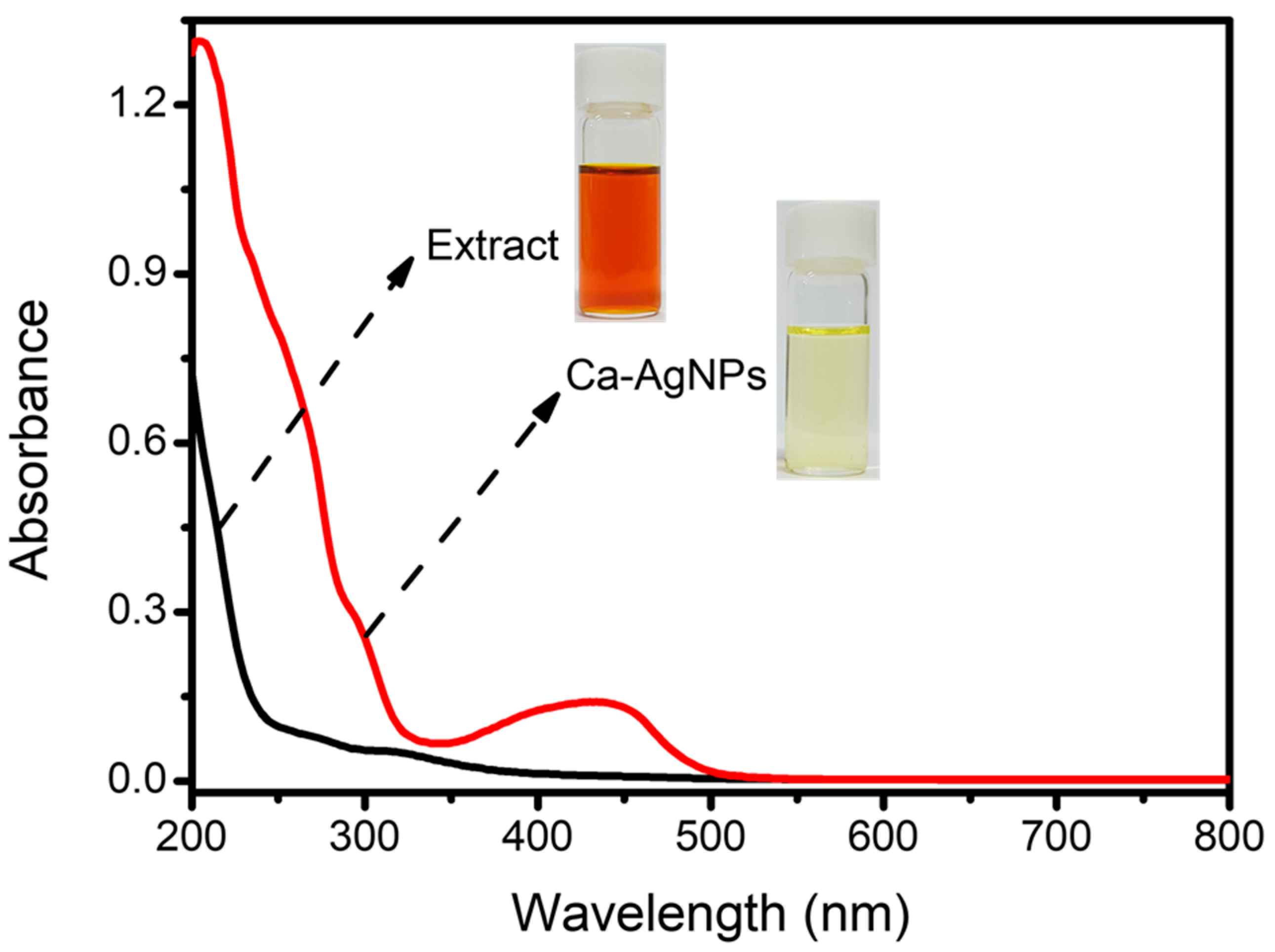 Plants 12 00707 g001