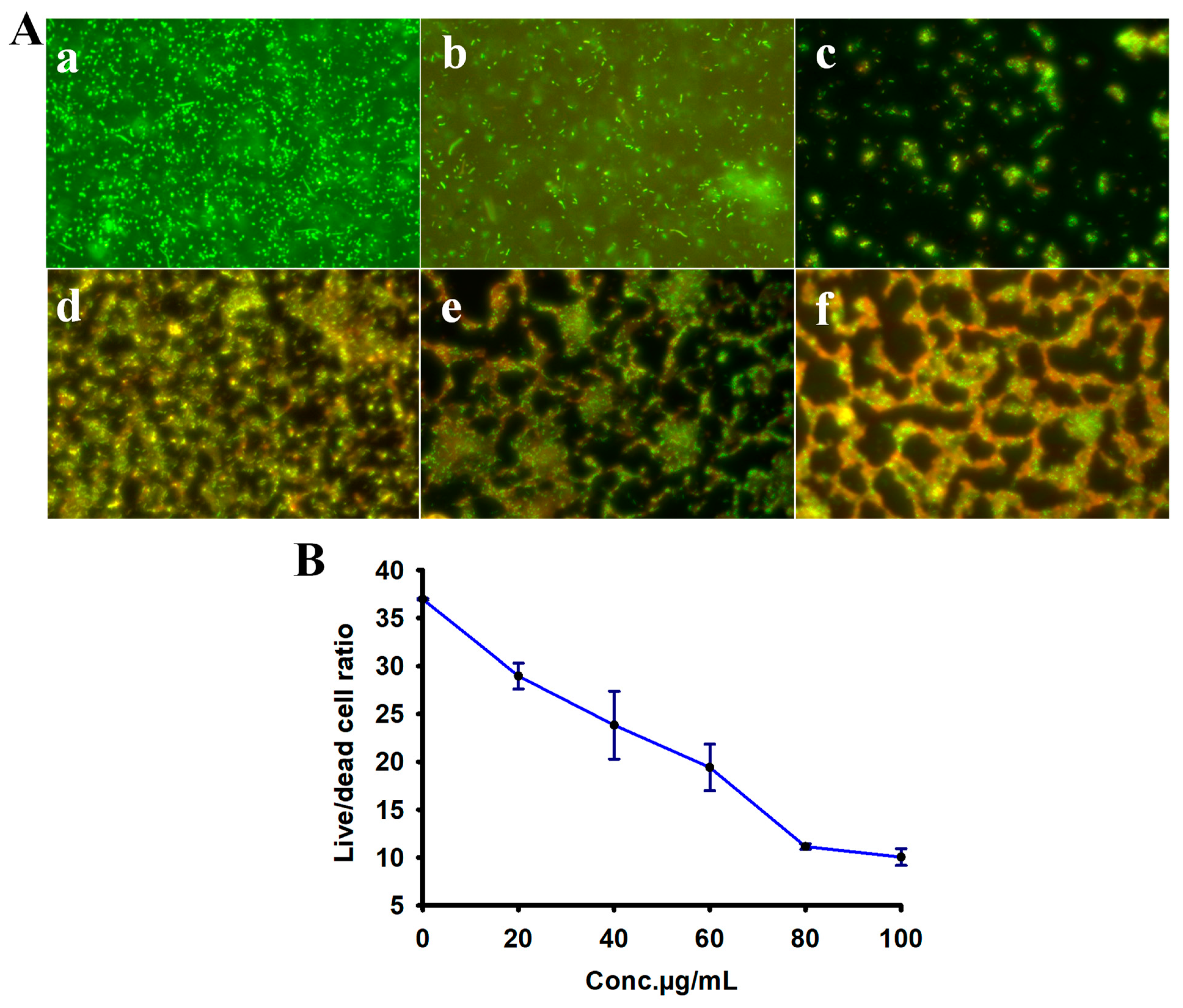 Plants 12 00707 g006