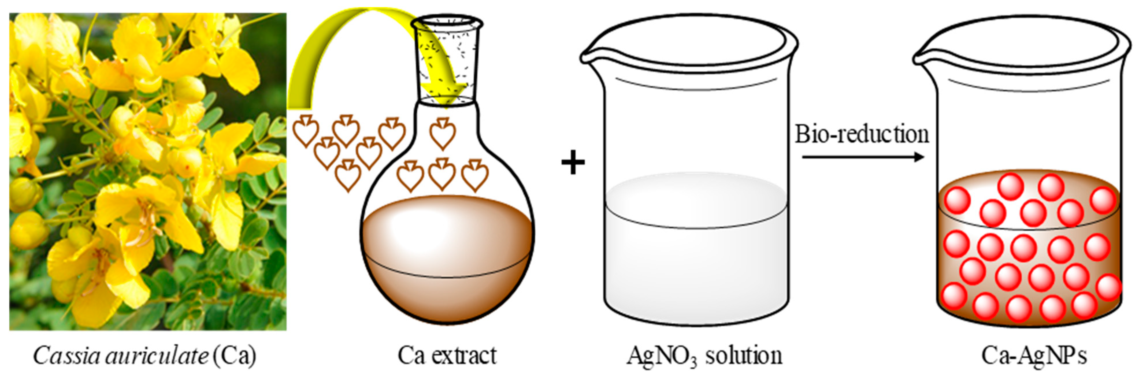 Plants 12 00707 sch001