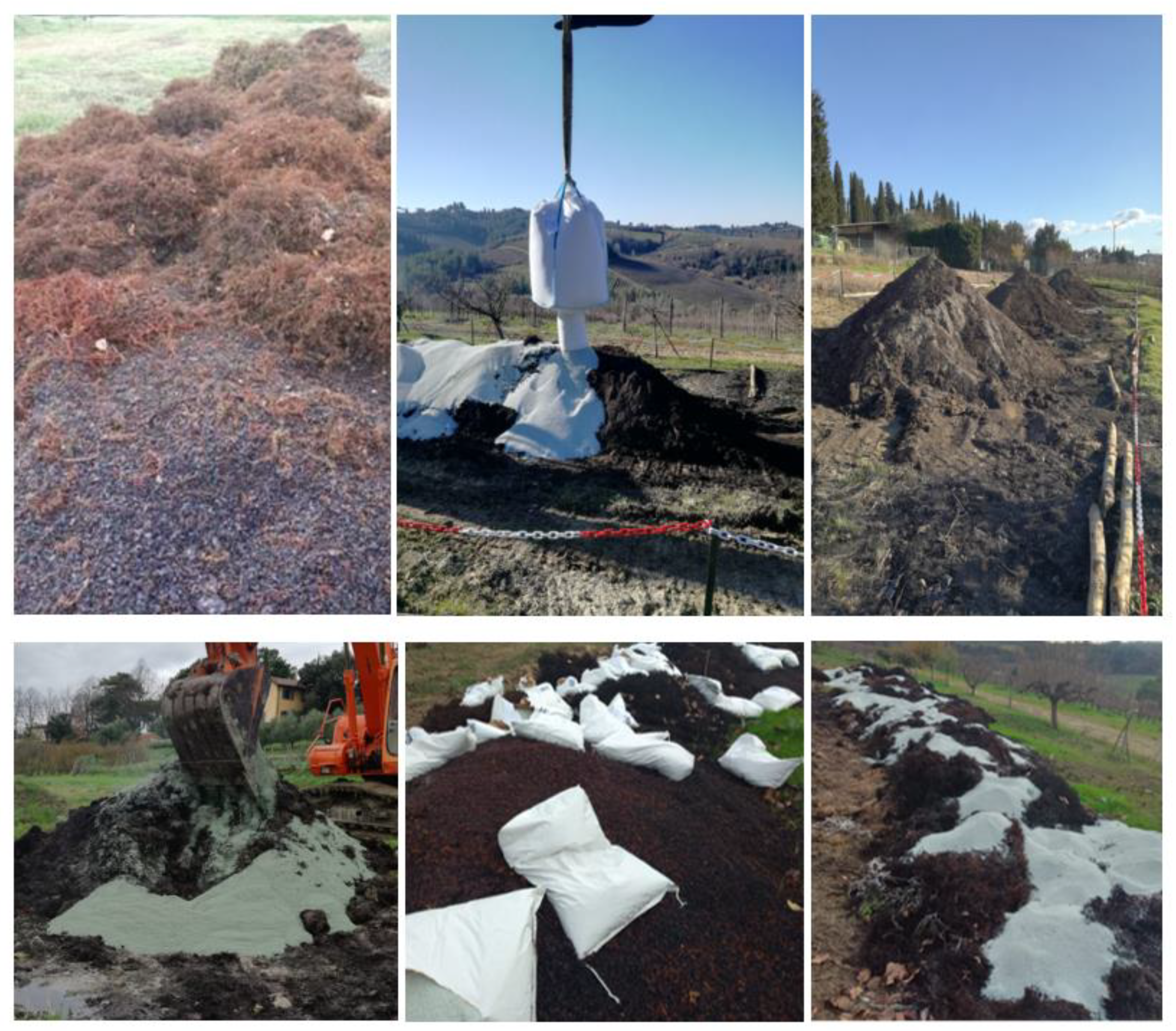 Plants 12 00708 g014 Plants 12 00708 g014