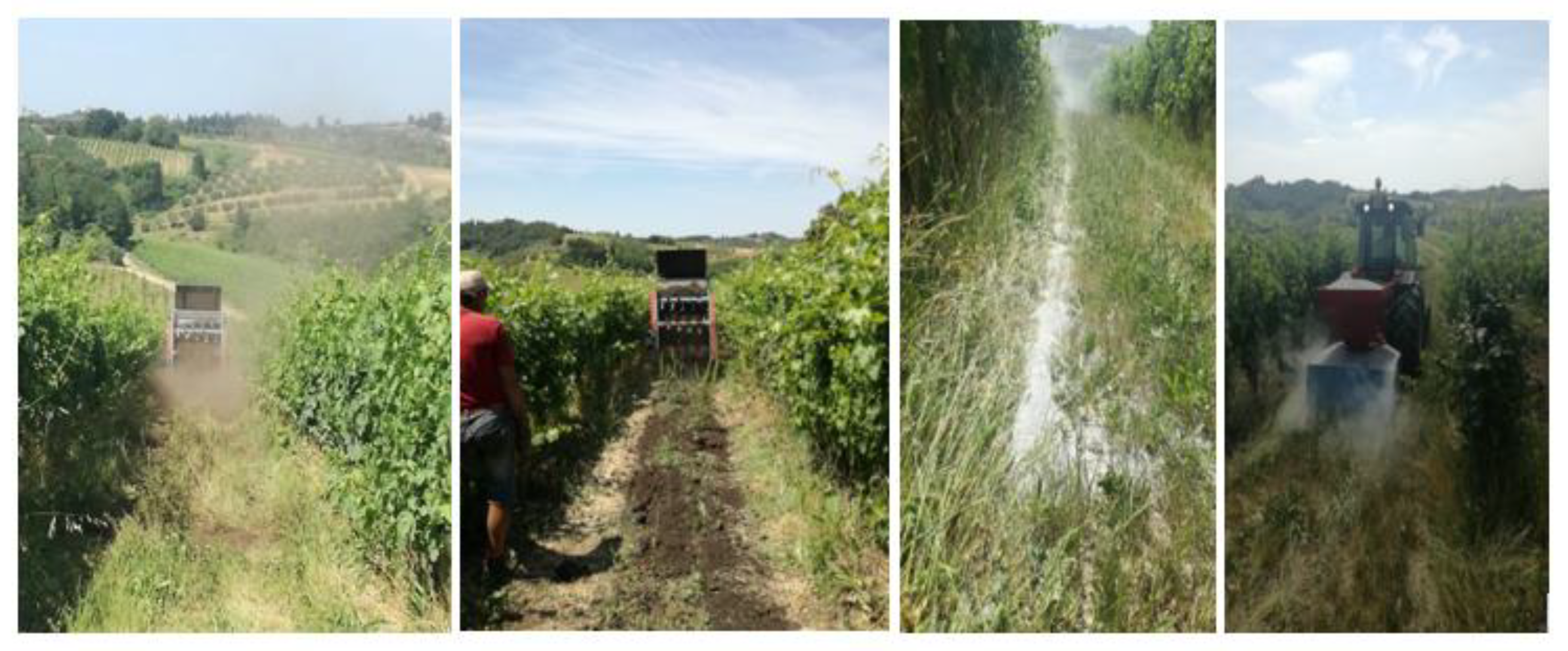 Plants 12 00708 g015 Plants 12 00708 g015