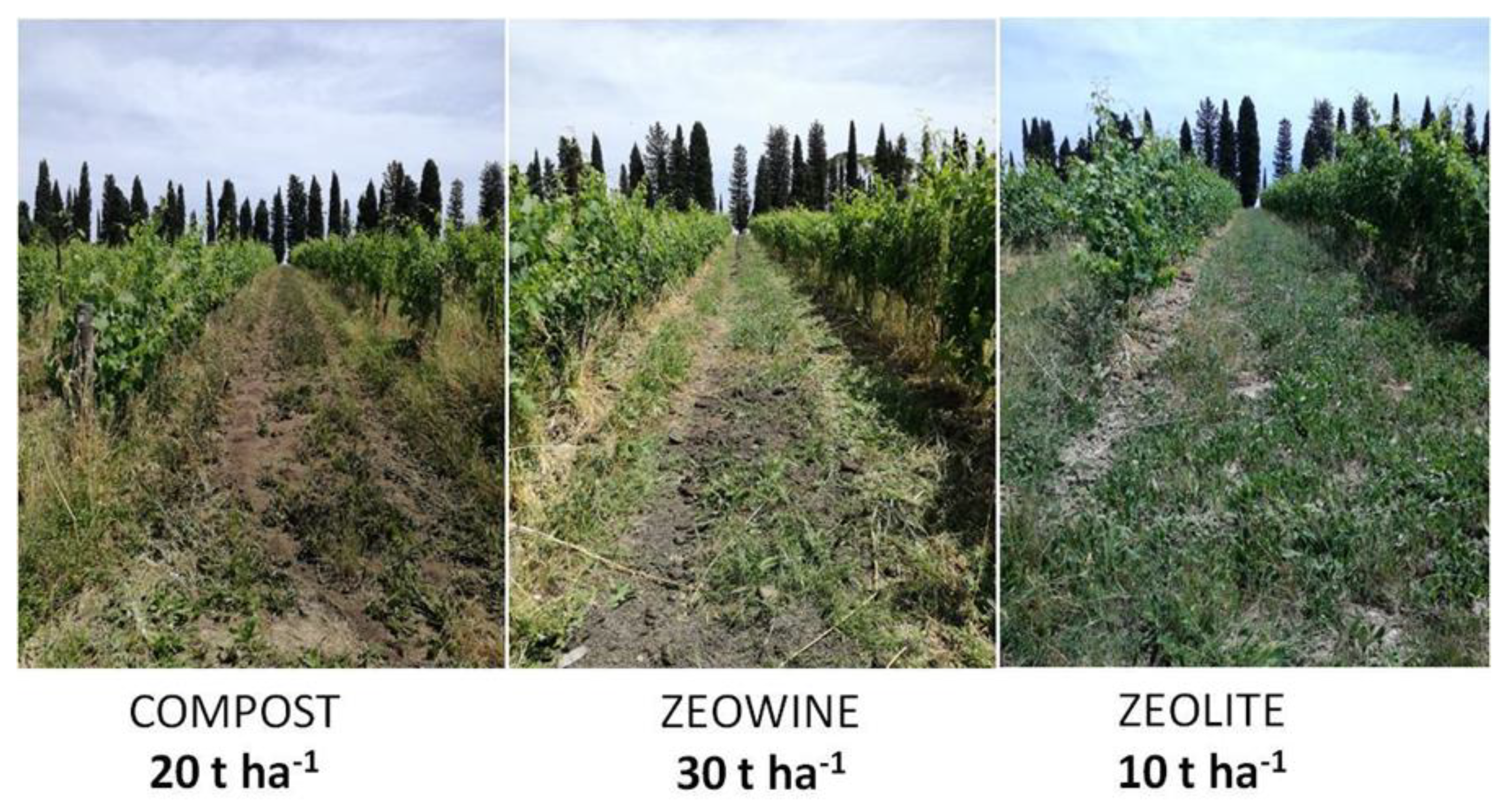 Plants 12 00708 g016 Plants 12 00708 g016