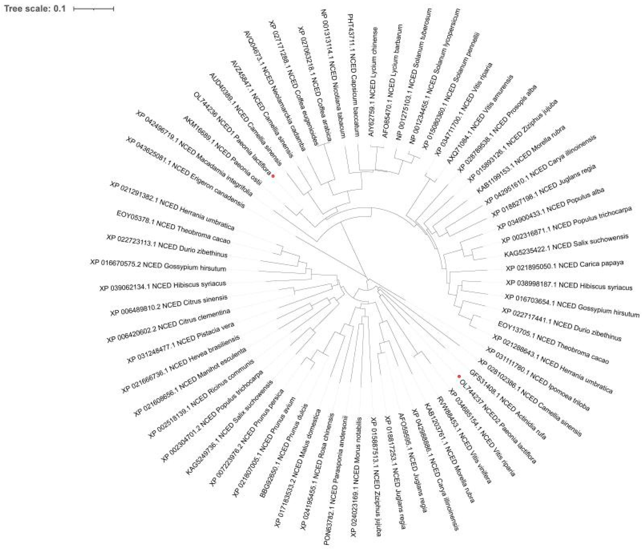 Plants 12 00710 g002 Plants 12 00710 g002