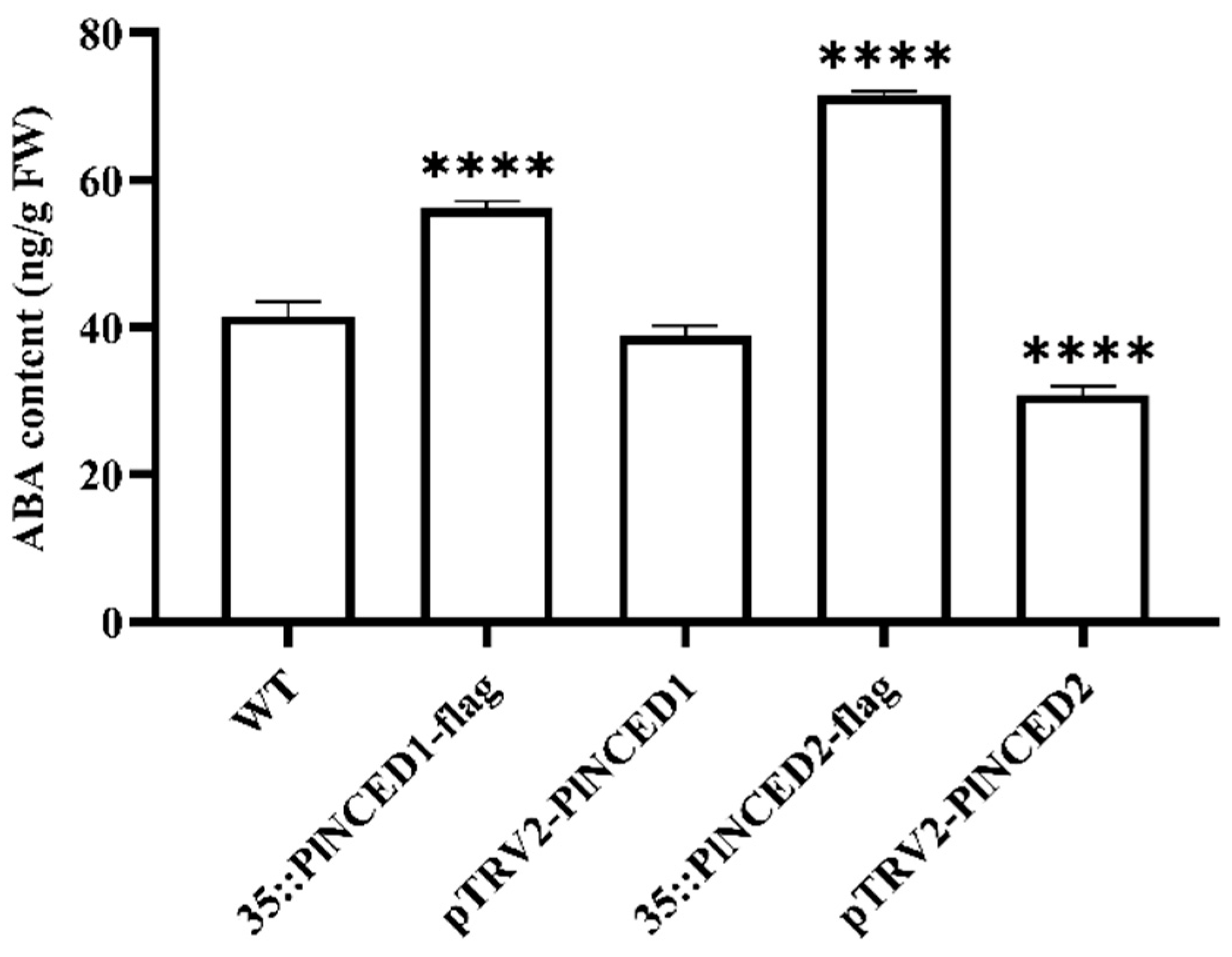 Plants 12 00710 g004 Plants 12 00710 g004