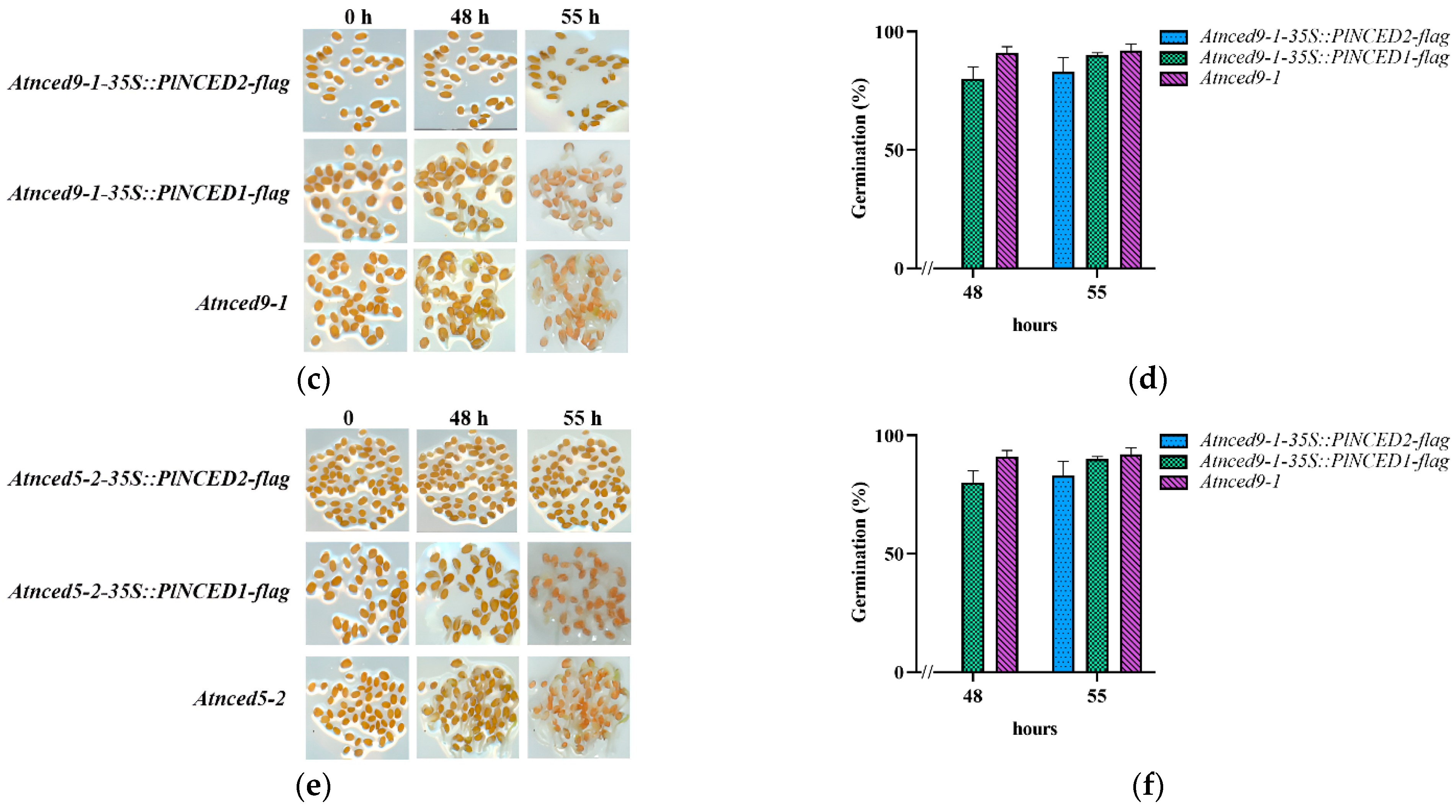 Plants 12 00710 g005b Plants 12 00710 g005b