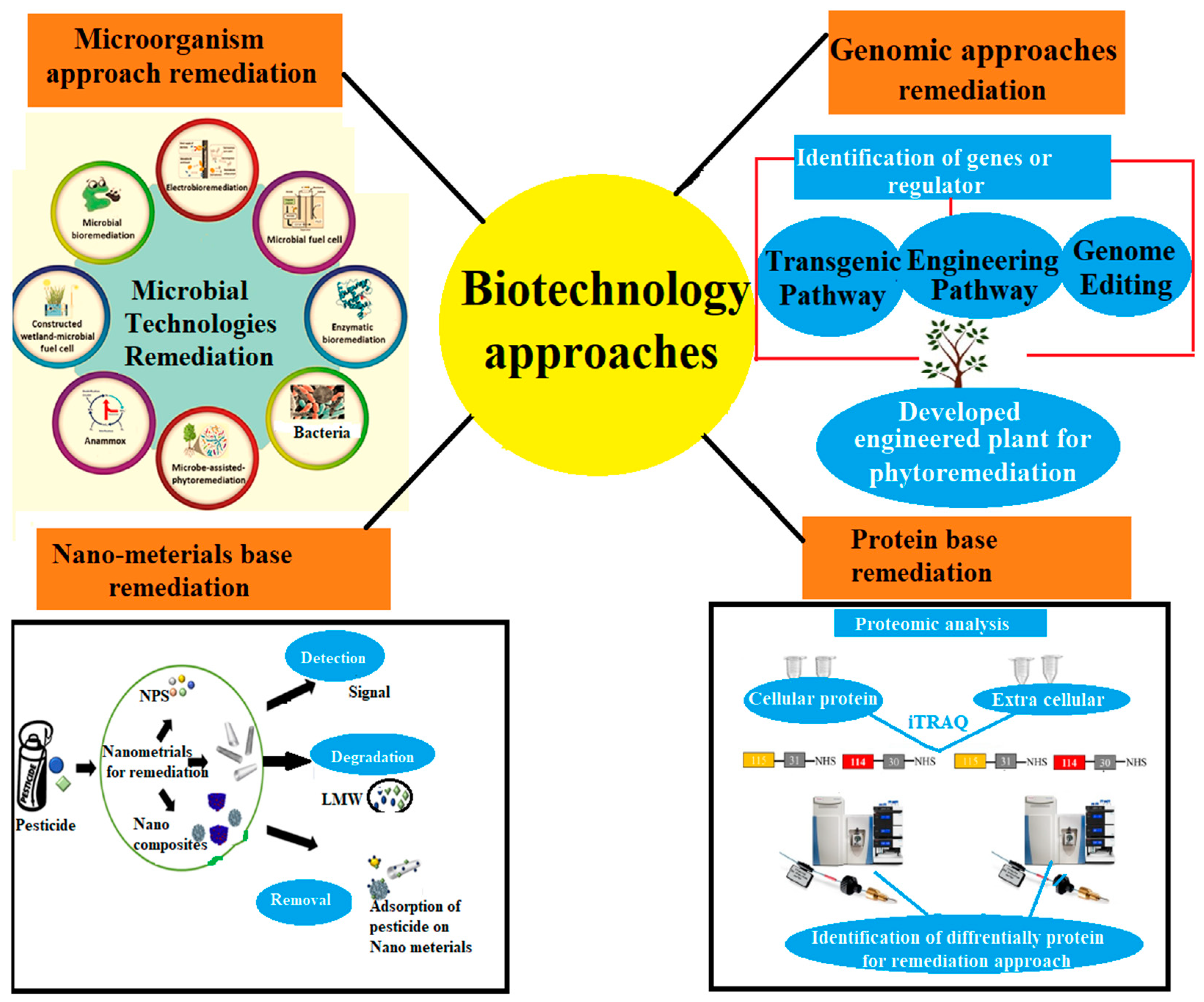 Plants 12 00725 g003 Plants 12 00725 g003