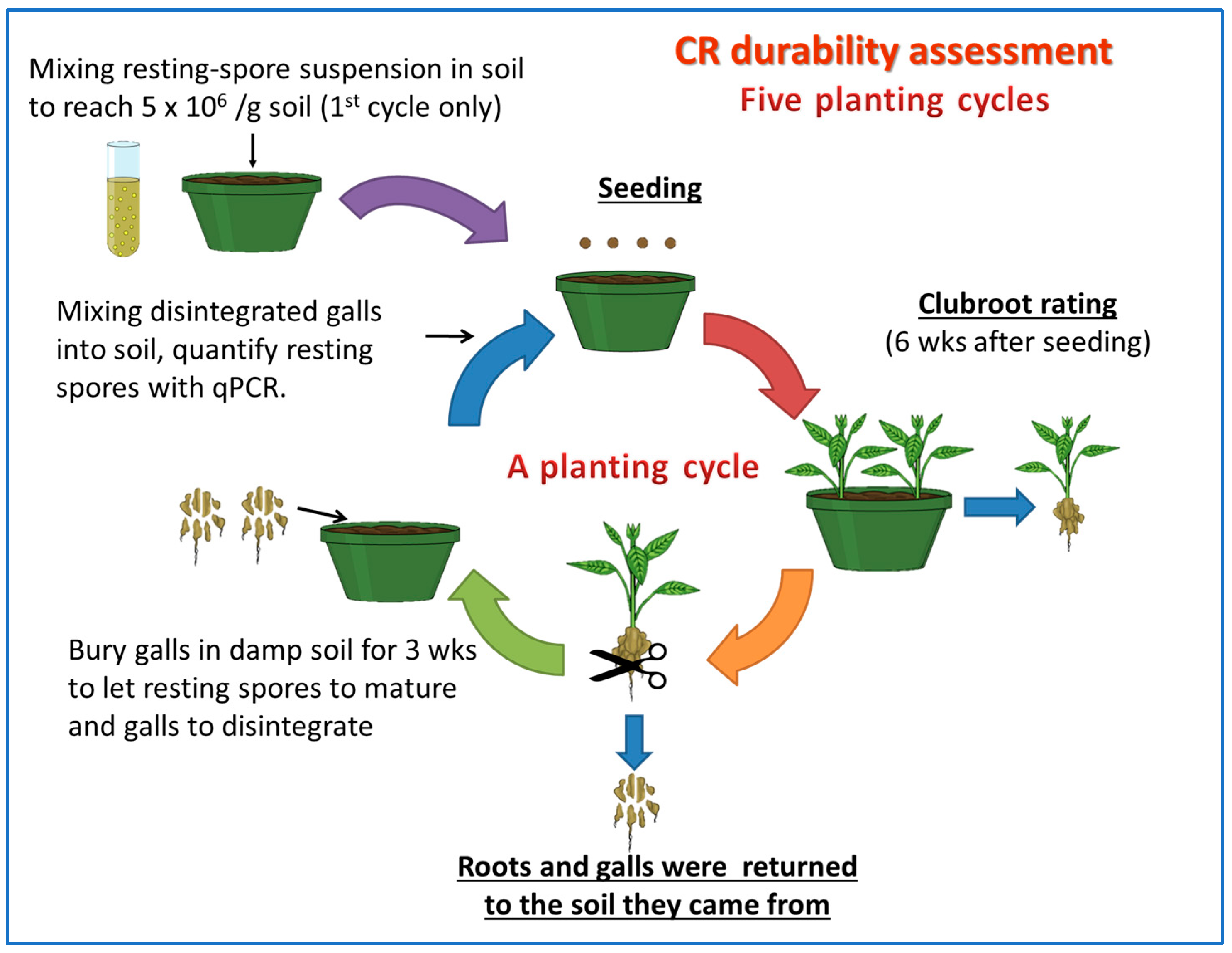 Plants 12 00726 g001 550