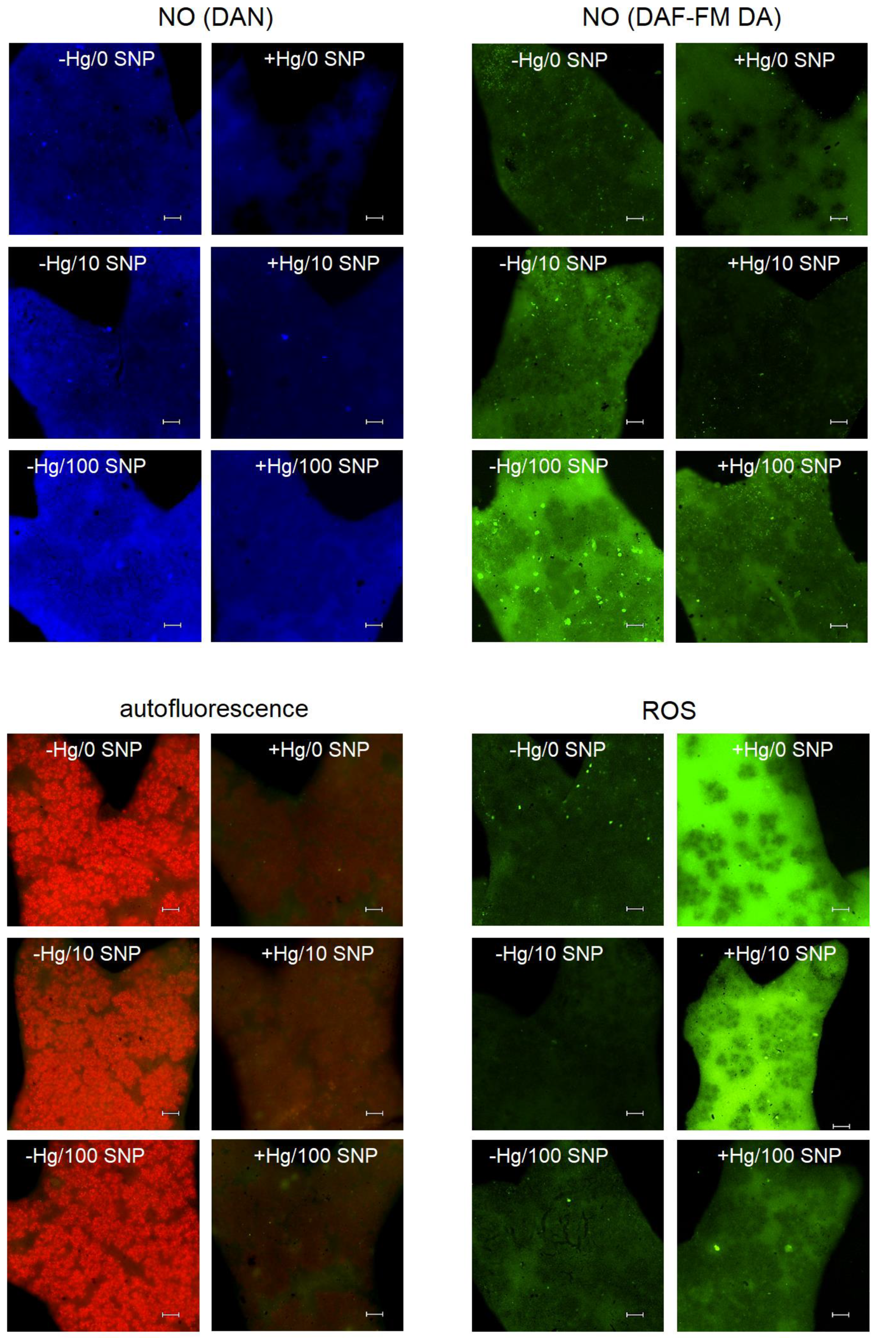 Plants 12 00727 g002