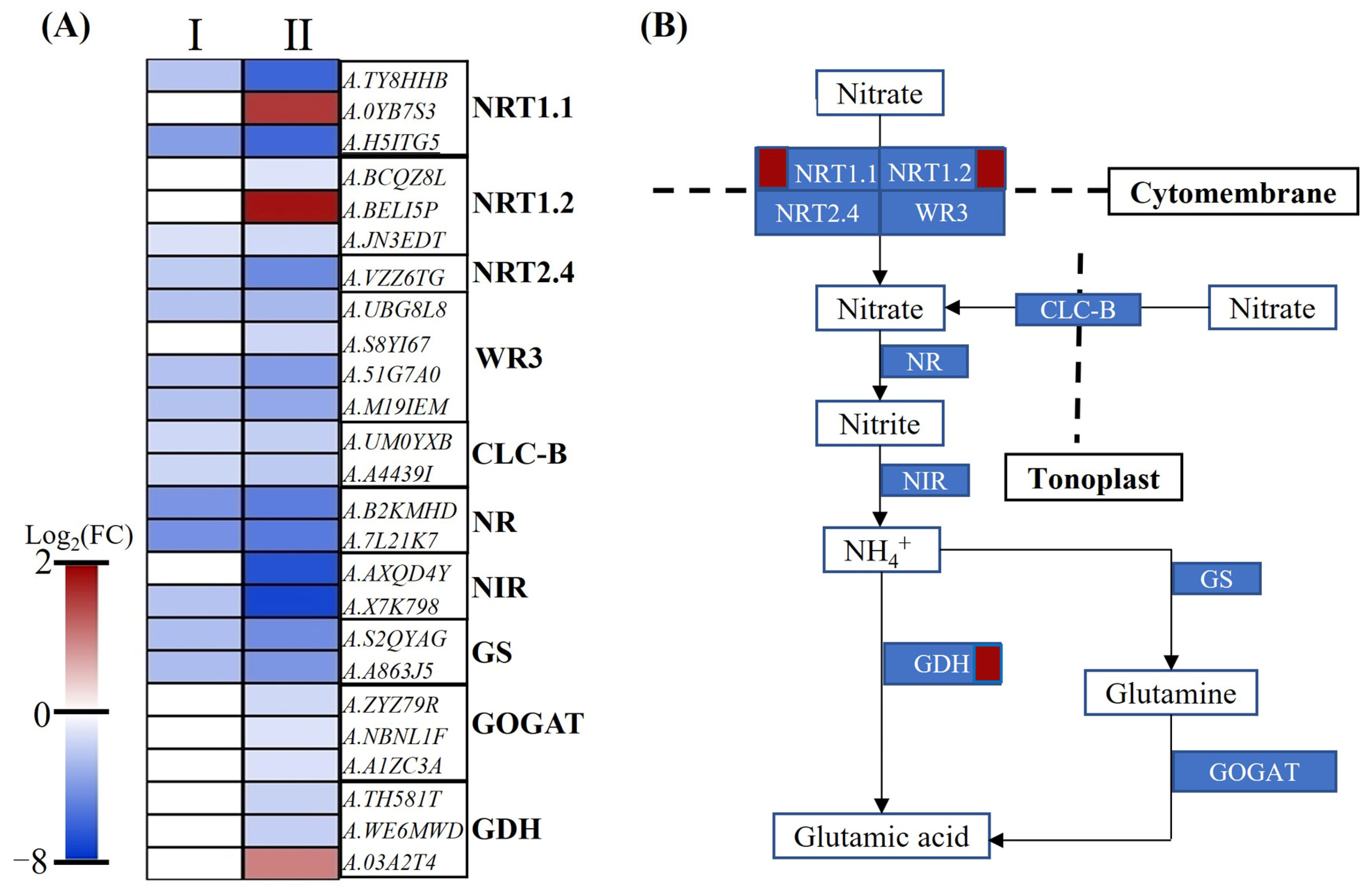 Plants 12 00732 g006