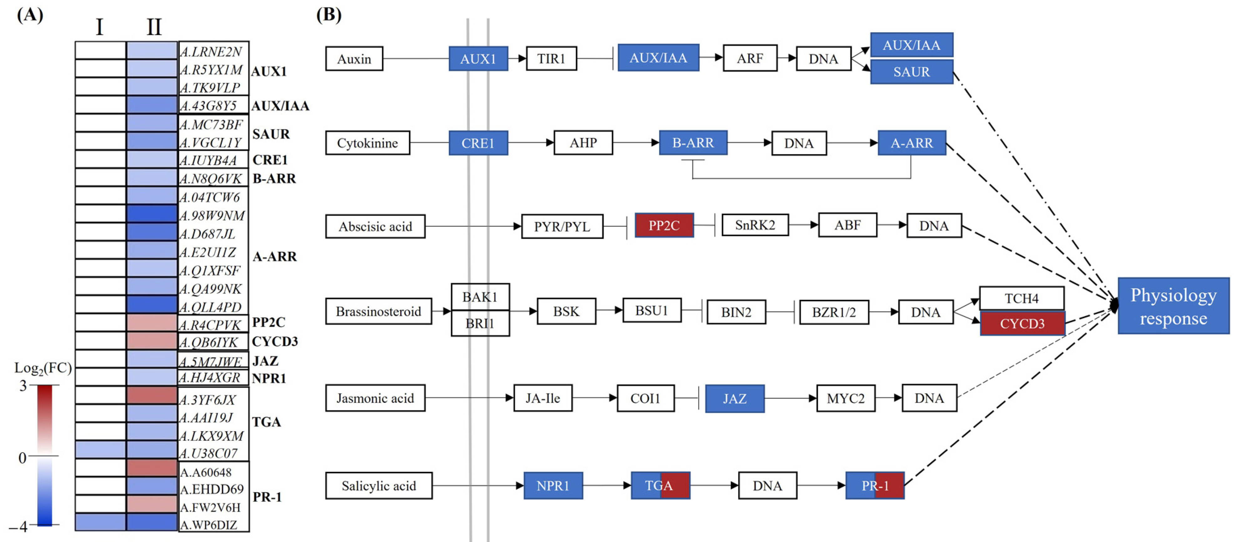 Plants 12 00732 g007