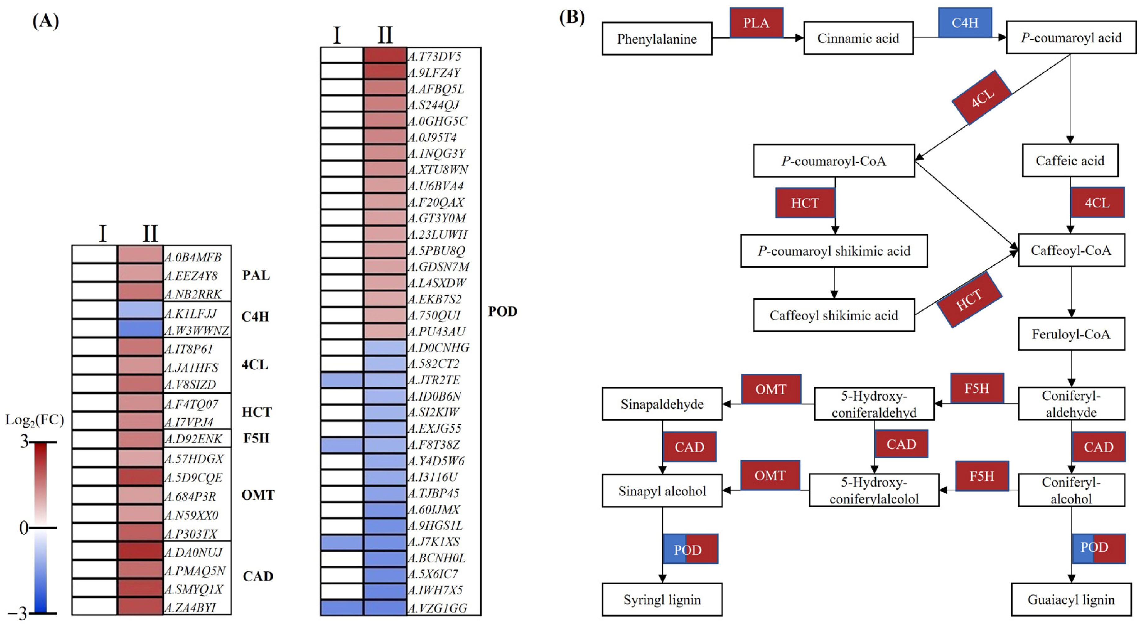 Plants 12 00732 g008