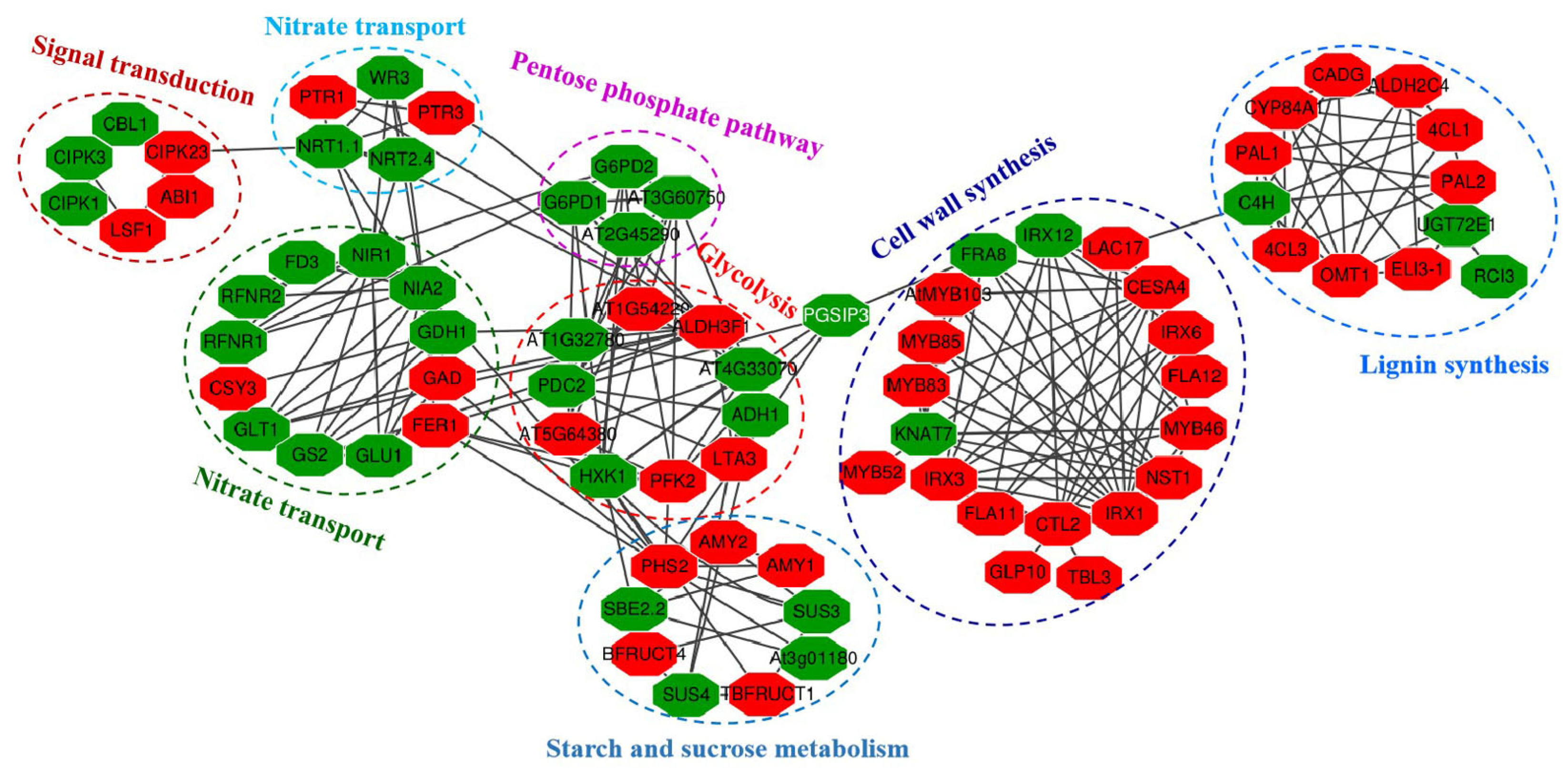 Plants 12 00732 g009