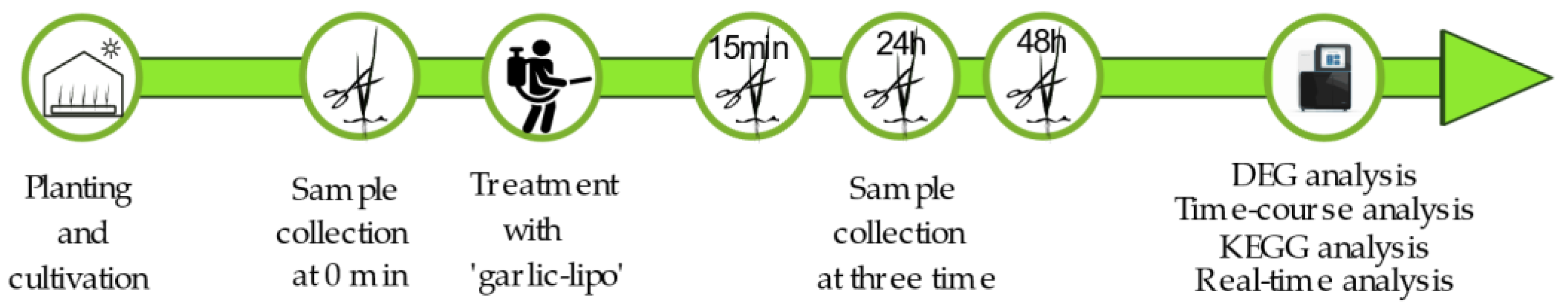 Plants 12 00743 g001 Plants 12 00743 g001