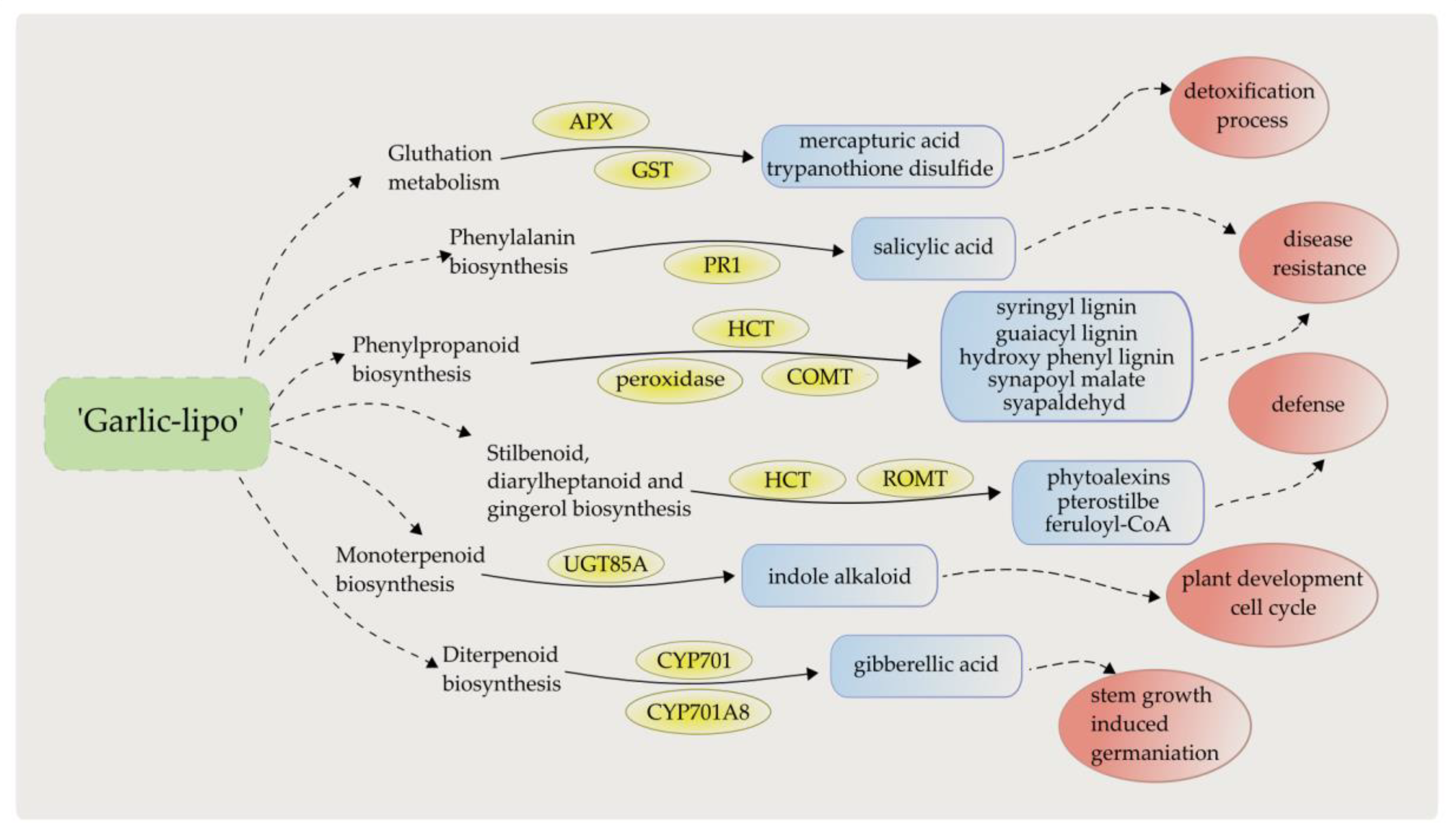 Plants 12 00743 g008 Plants 12 00743 g008