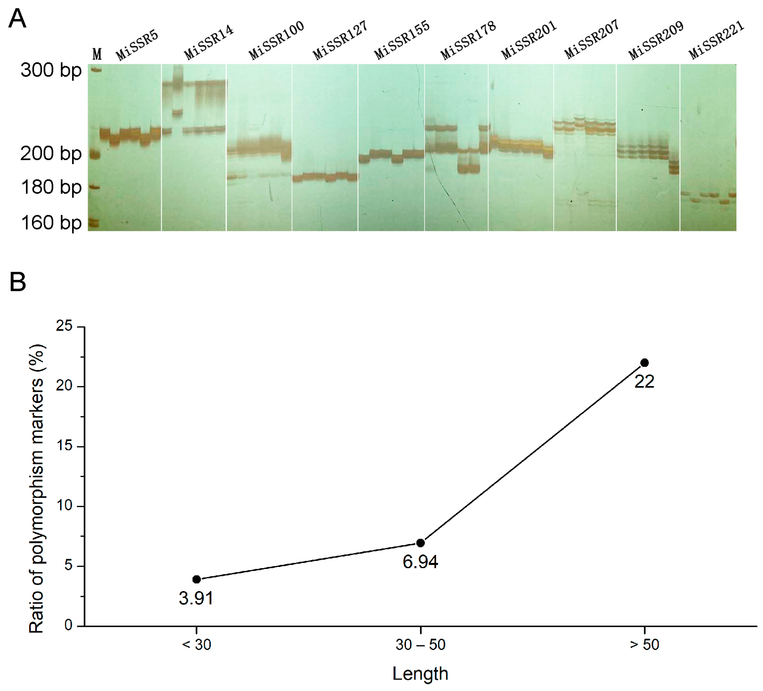 Plants 12 00748 g004 Plants 12 00748 g004