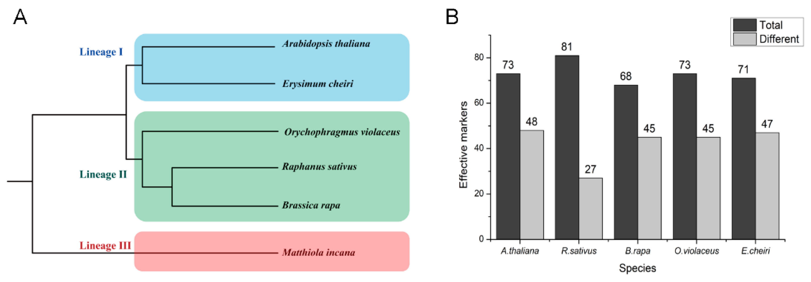 Plants 12 00748 g006 Plants 12 00748 g006