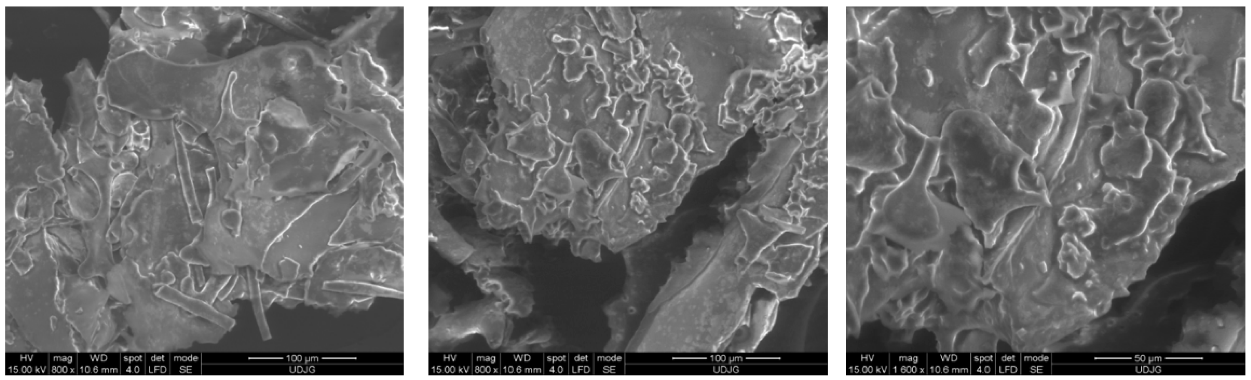 Plants 12 00754 g003