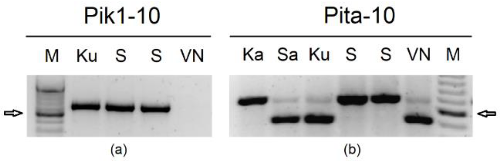 Plants 12 00757 g001