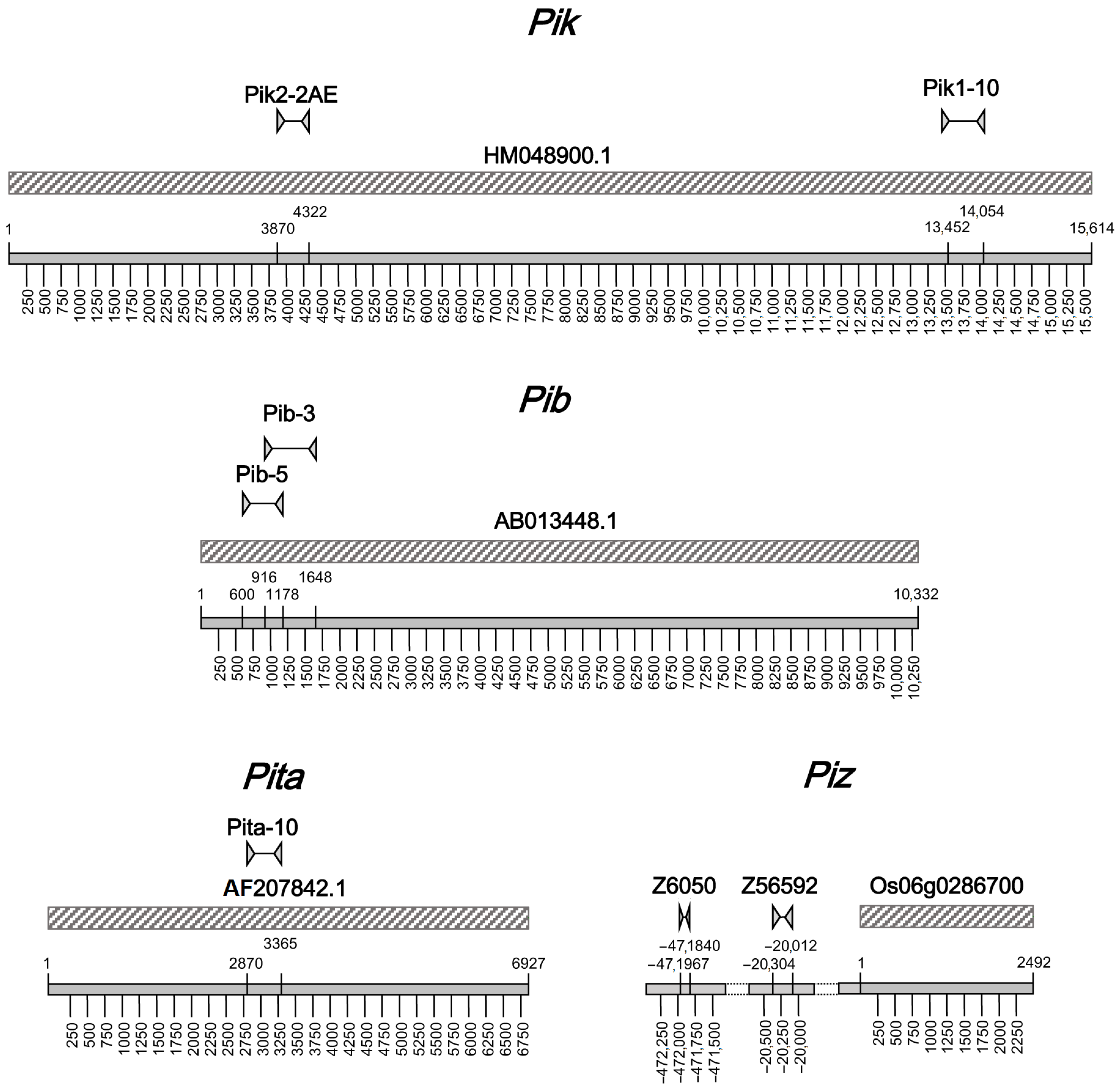 Plants 12 00757 g002