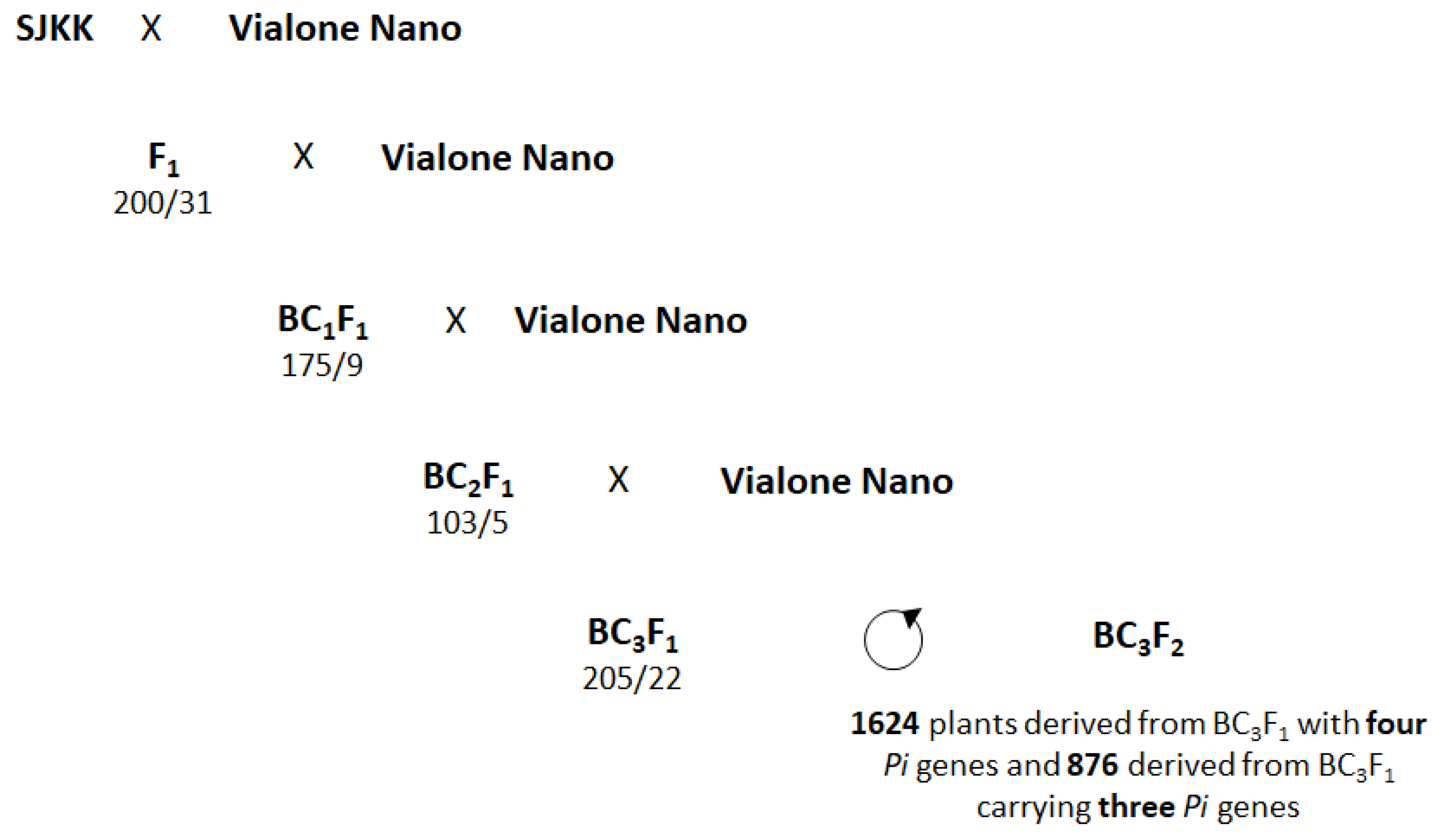 Plants 12 00757 g003