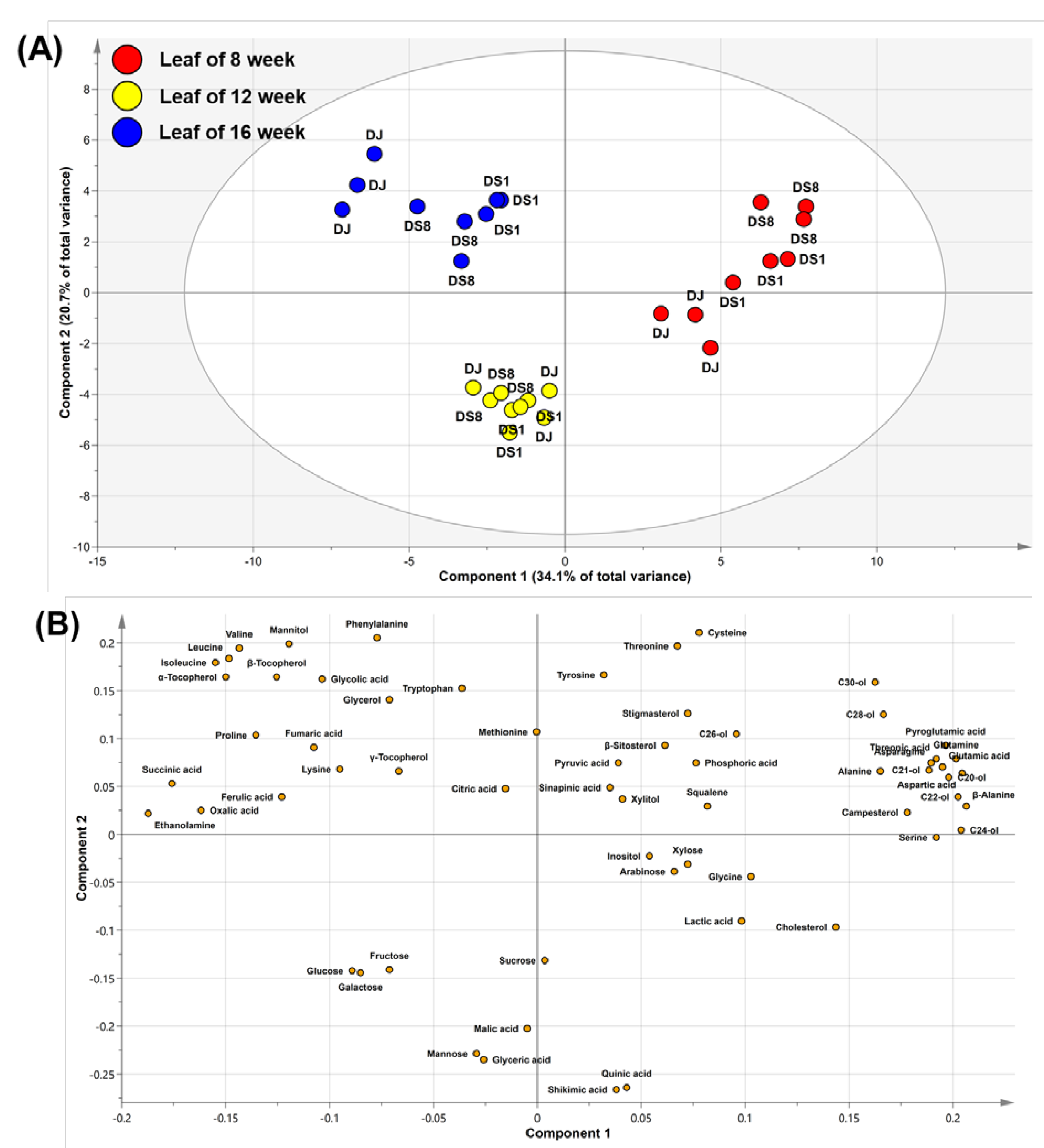 Plants 12 00758 g005 550