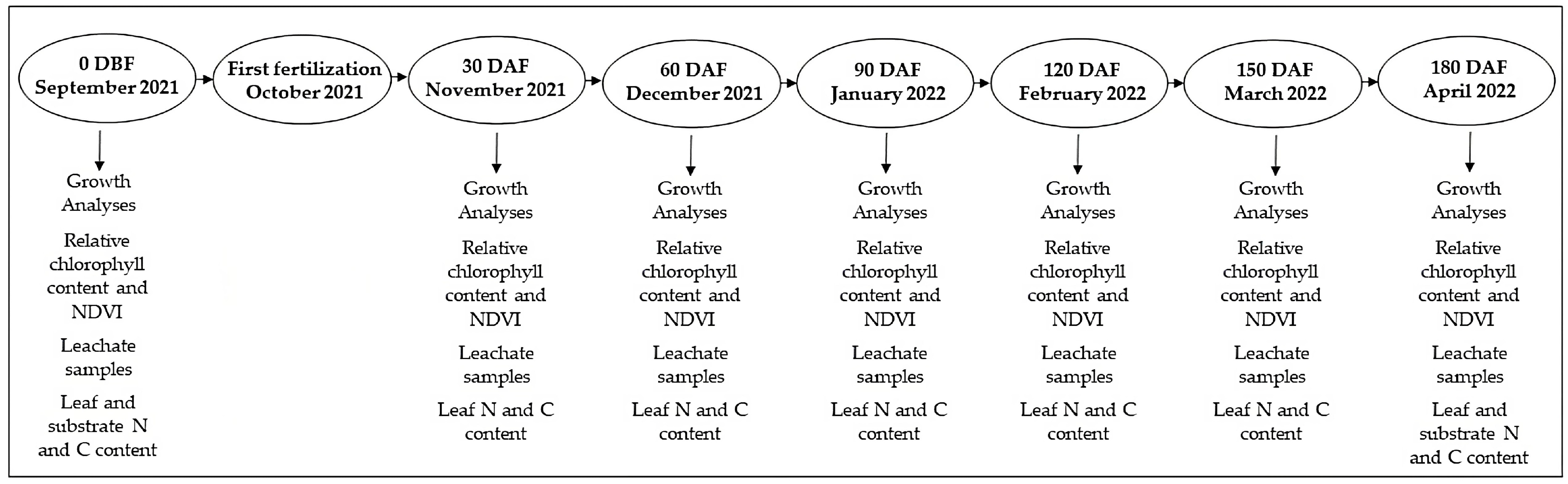 Plants 12 00760 g004 Plants 12 00760 g004