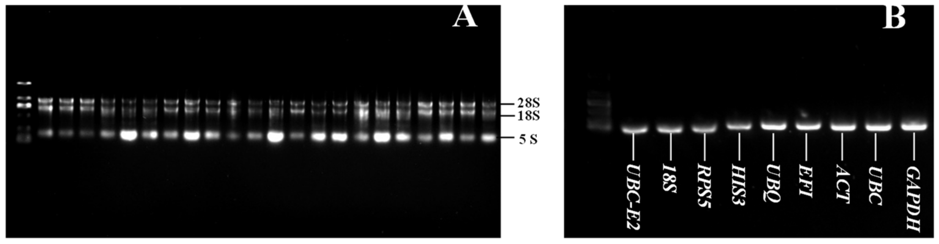 Plants 12 00763 g001