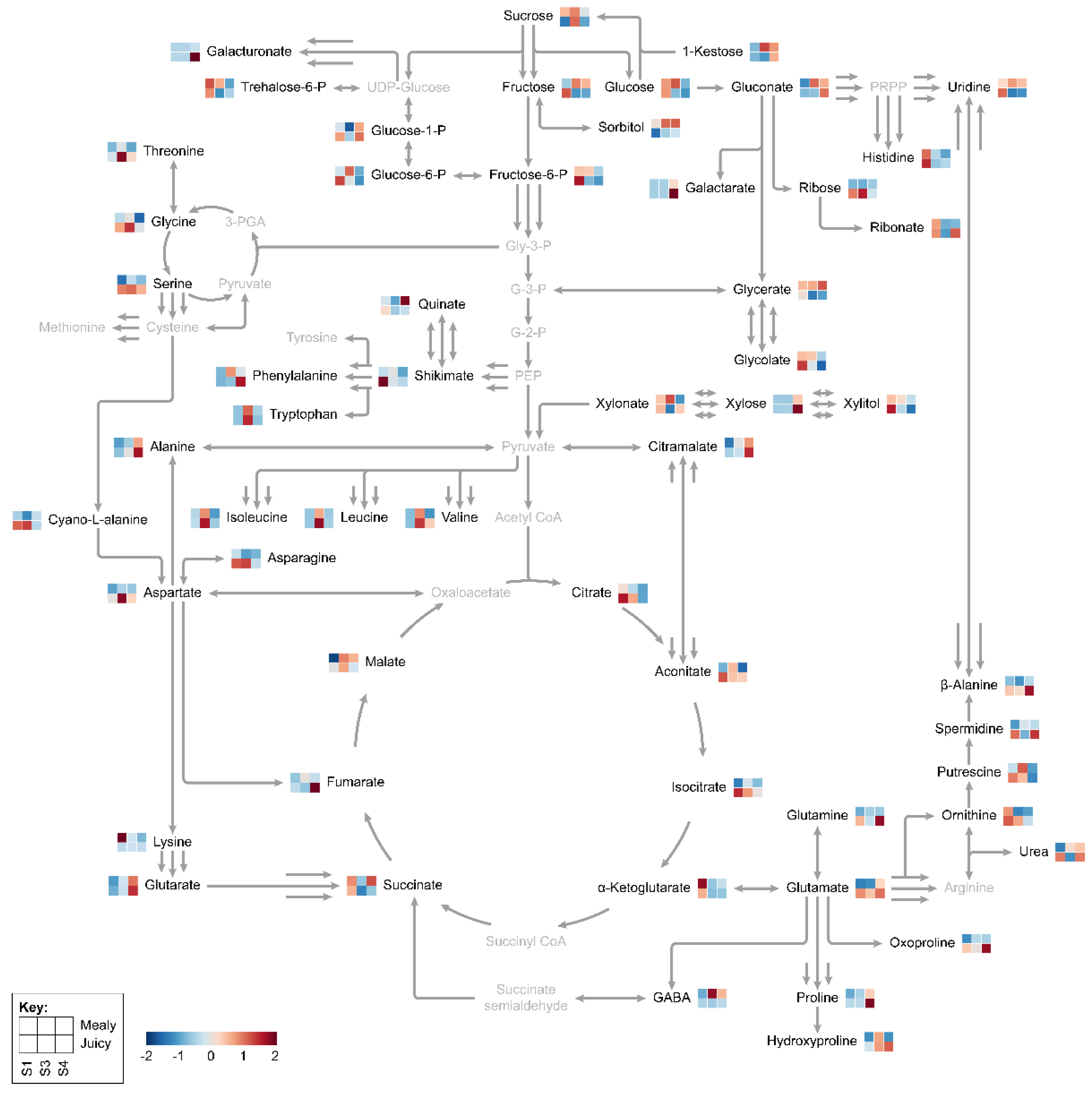 Plants 12 00766 g006