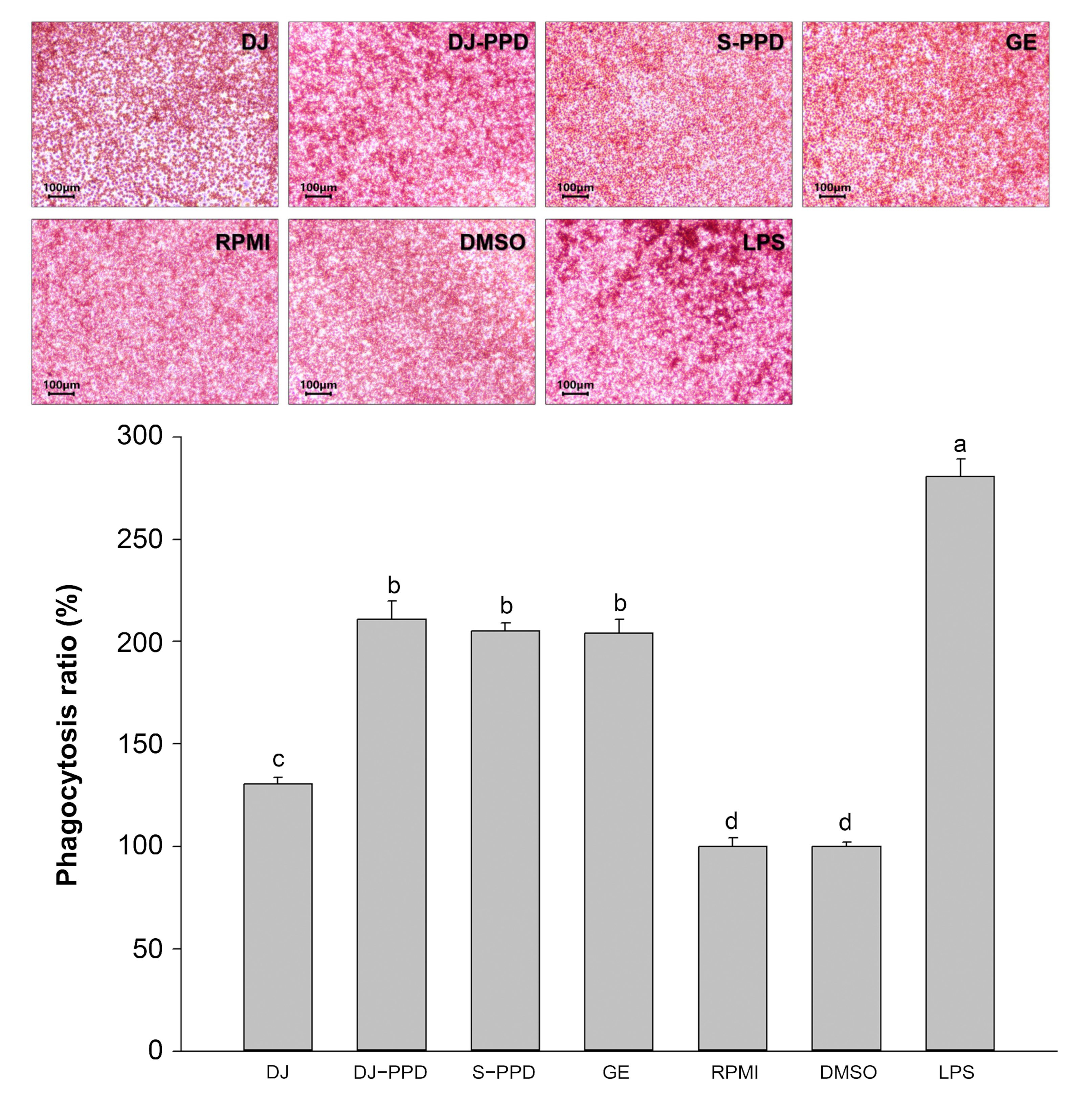 Plants 12 00767 g006