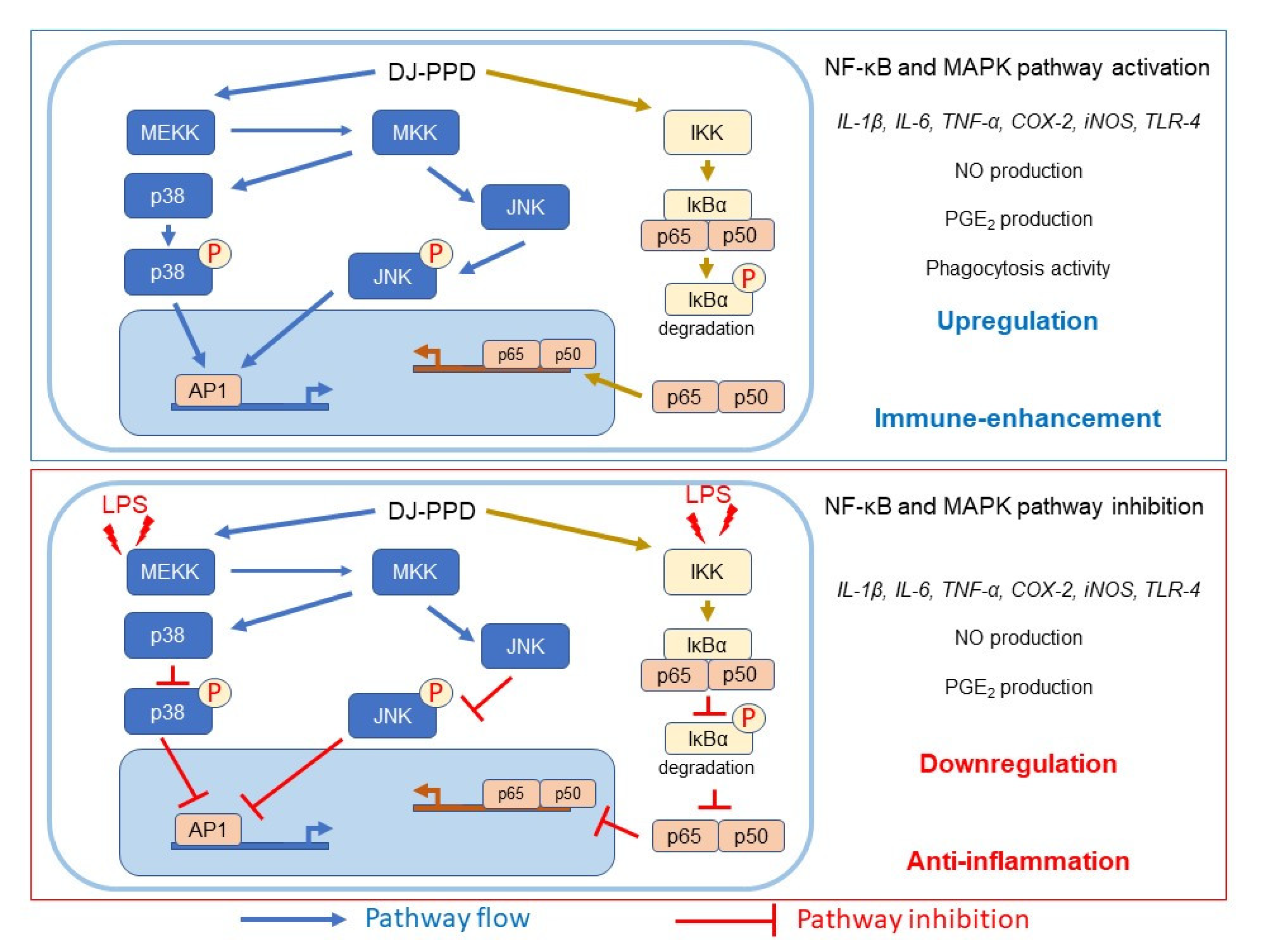 Plants 12 00767 g008