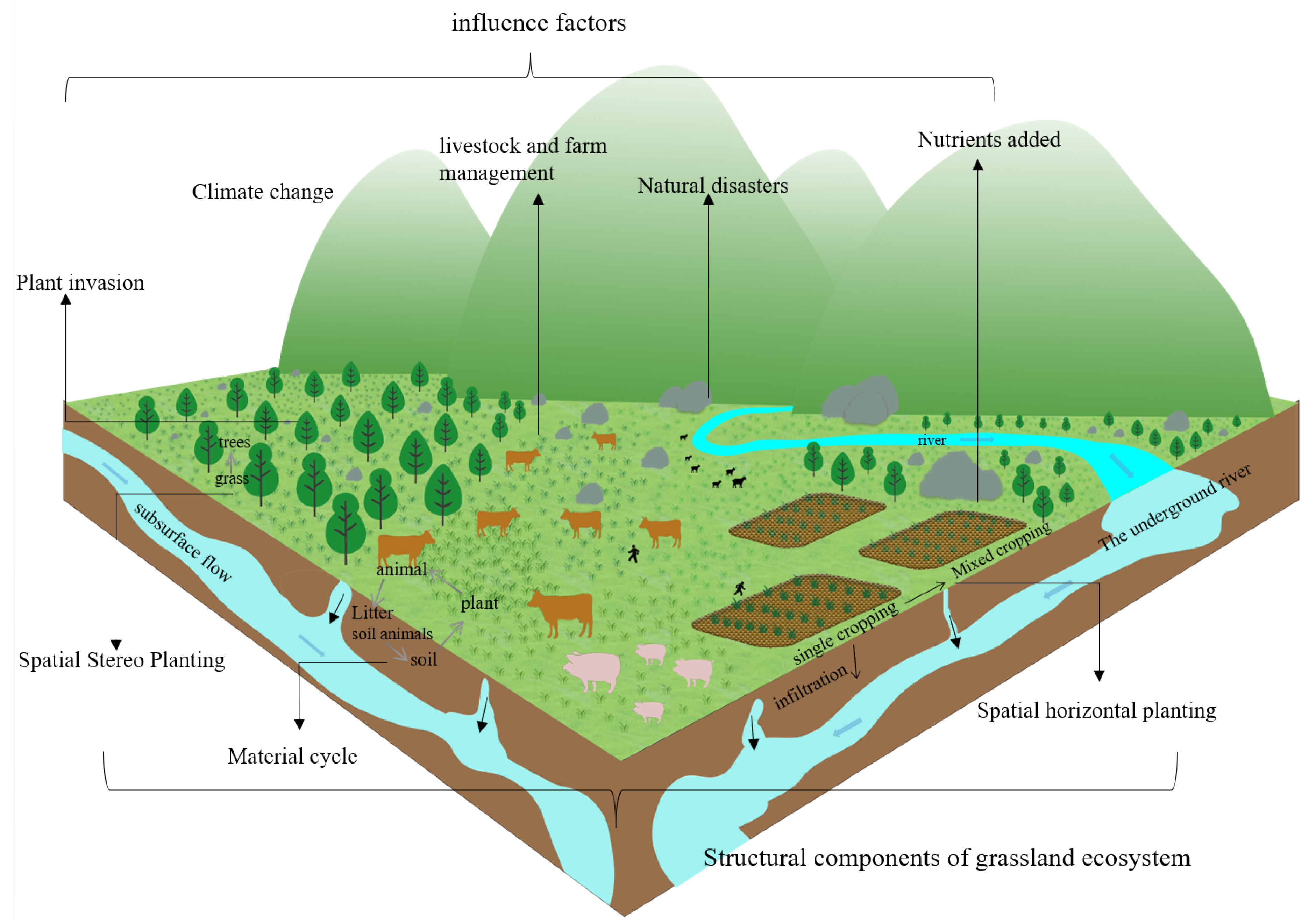 Plants 12 00770 g004 Plants 12 00770 g004