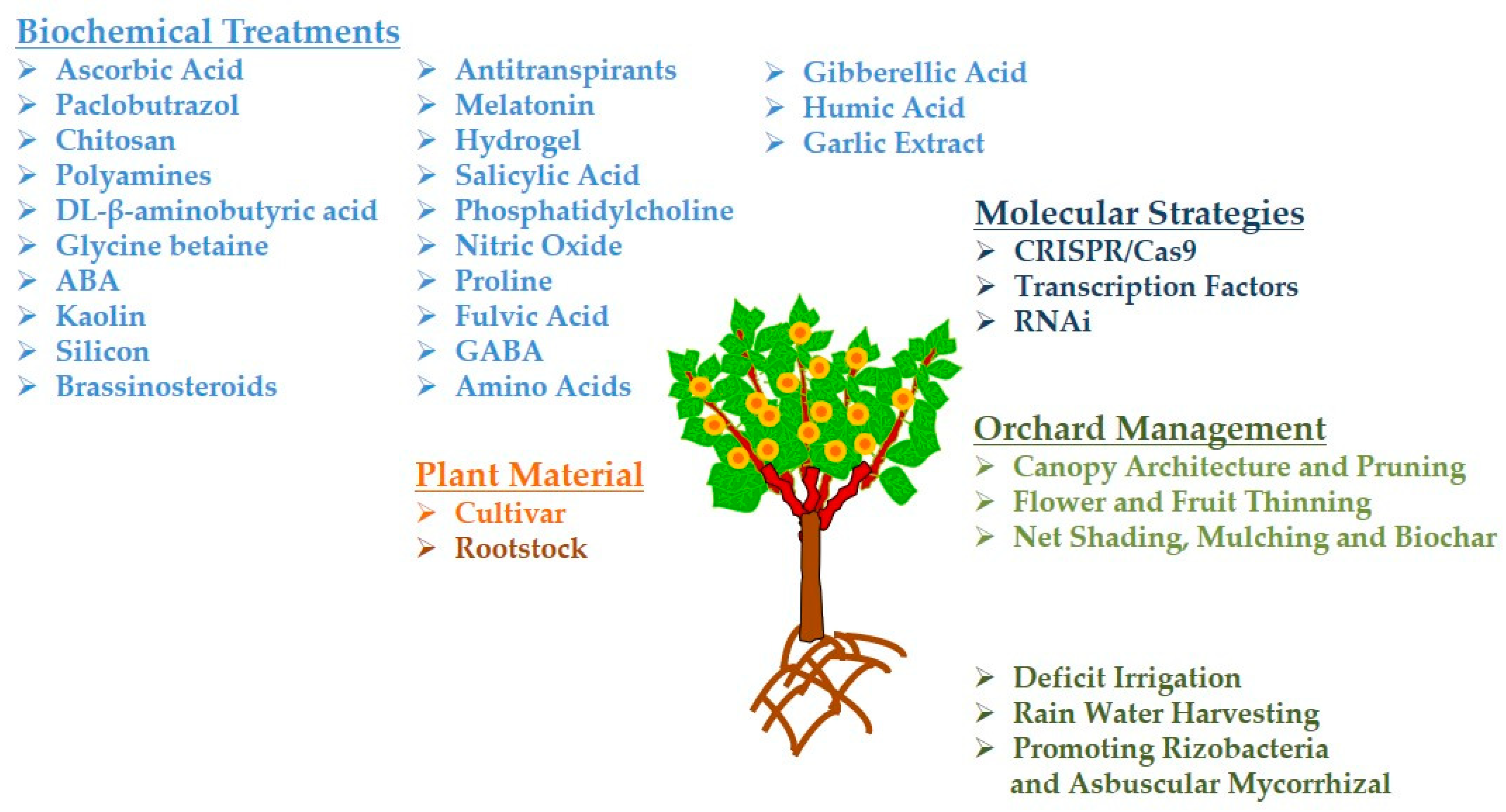 Plants Free FullText Orchard Management and Incorporation of