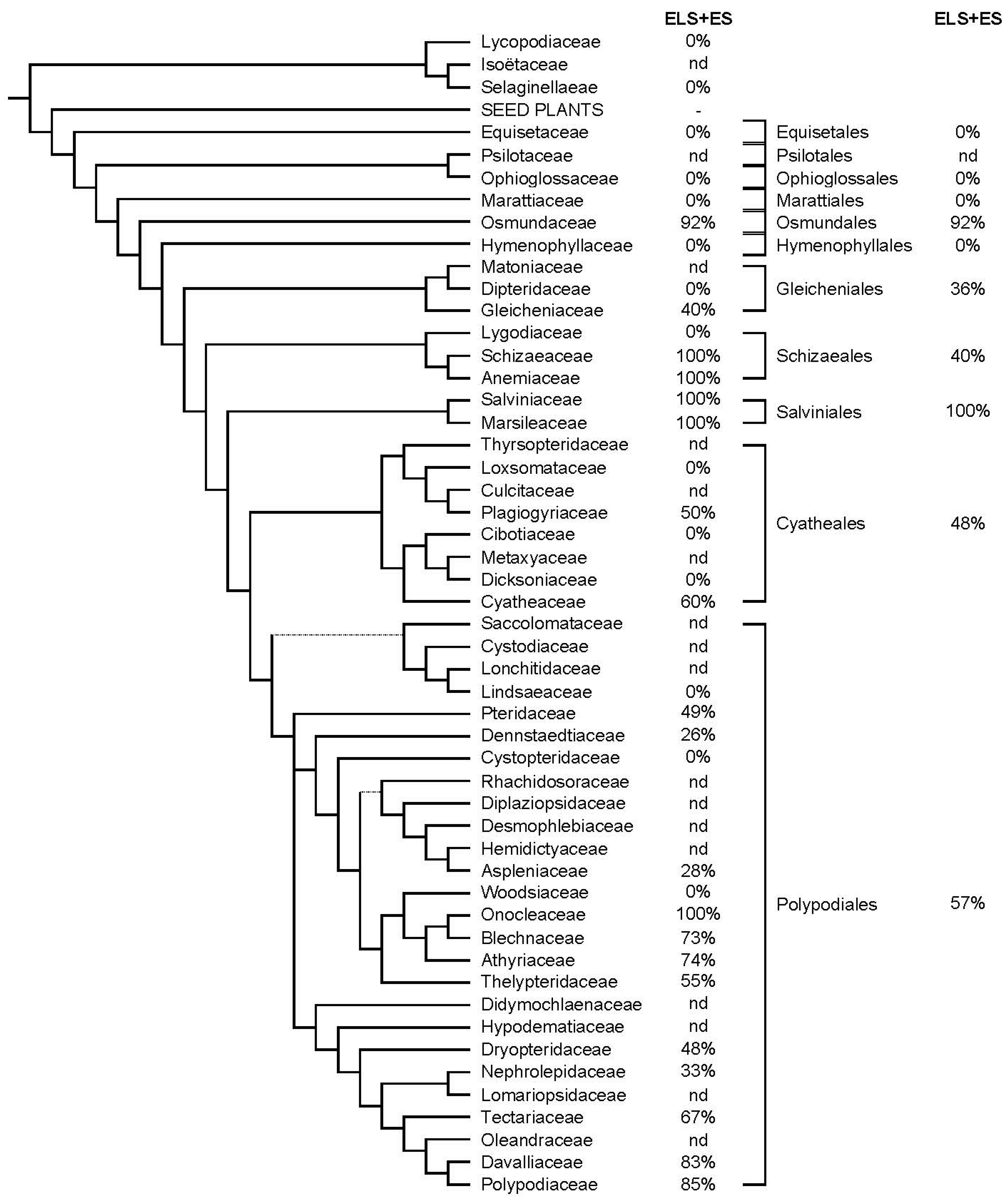Plants 12 00776 g001