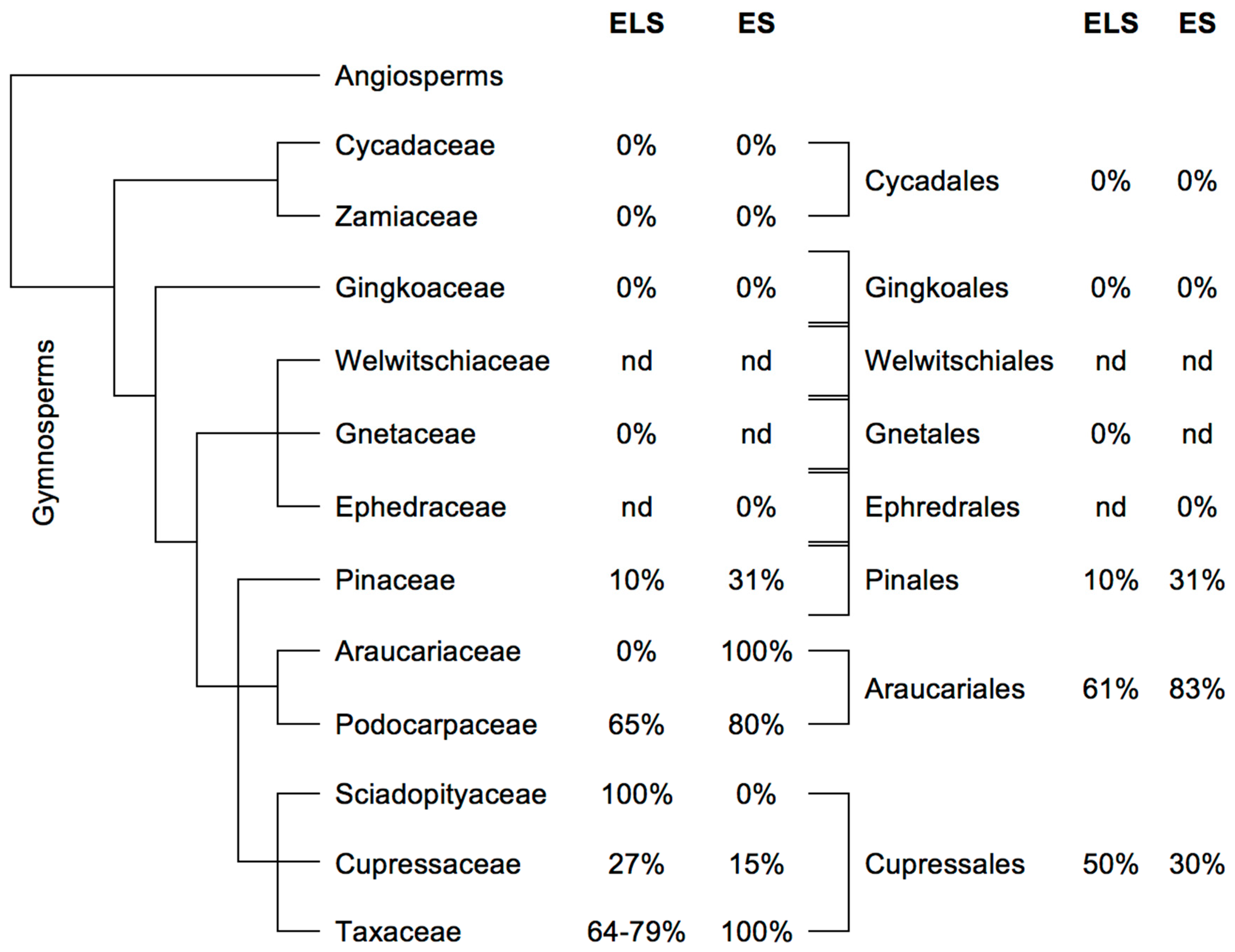 Plants 12 00776 g002