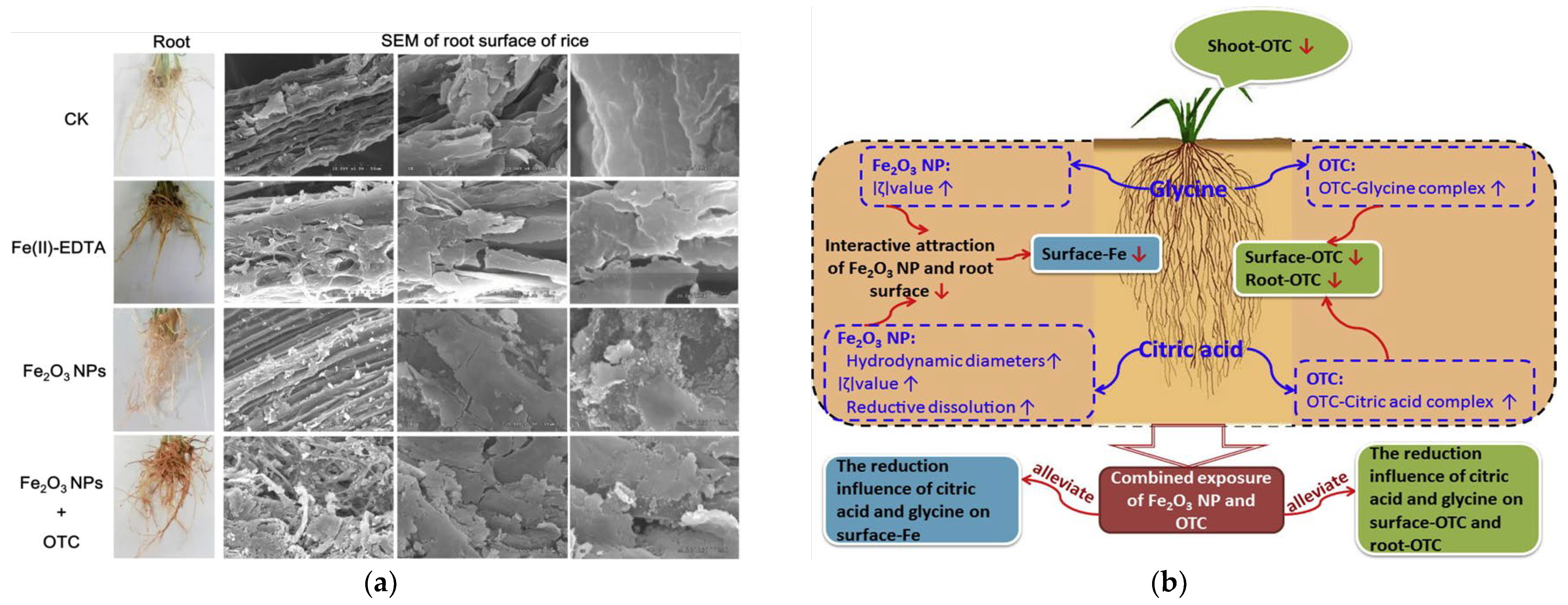 Plants 12 00778 g002
