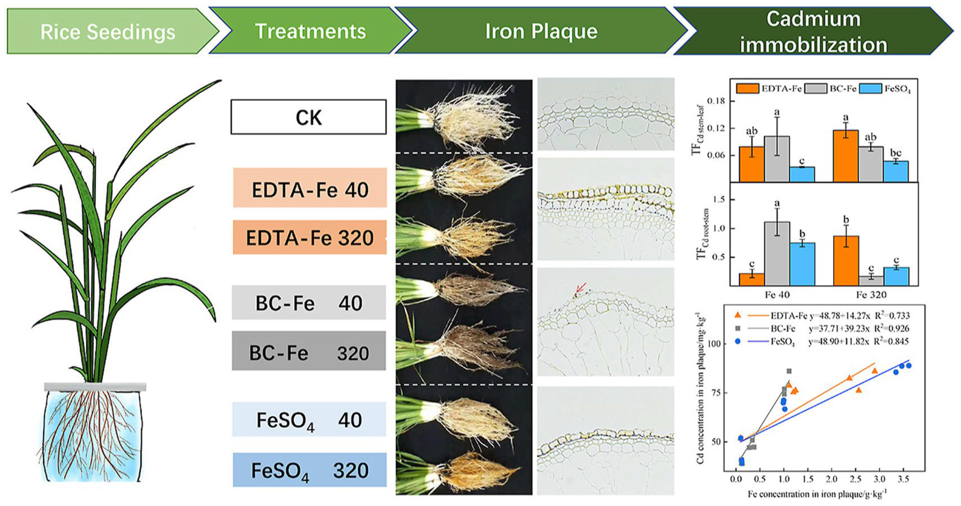 Plants 12 00778 g003
