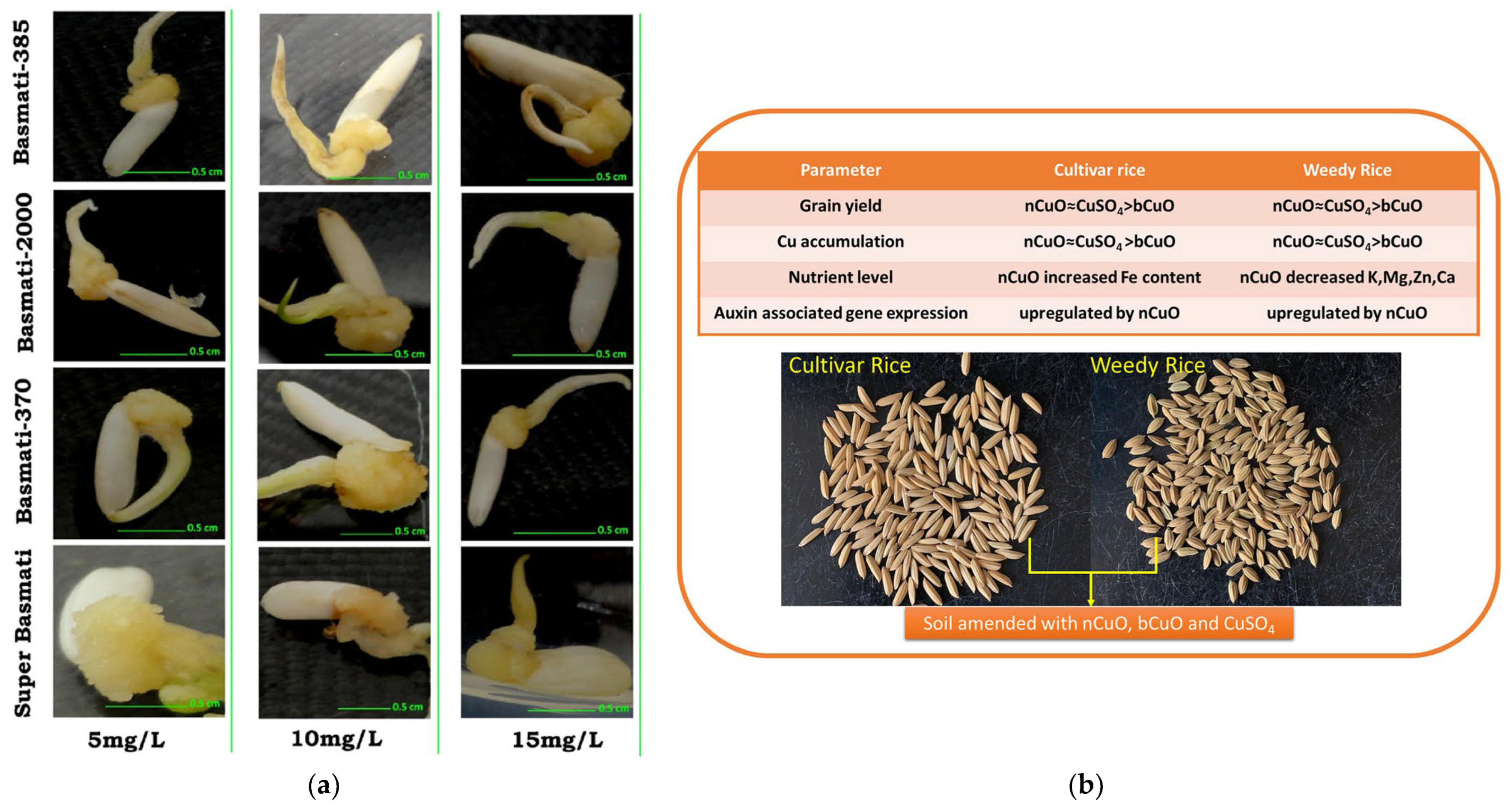 Plants 12 00778 g005