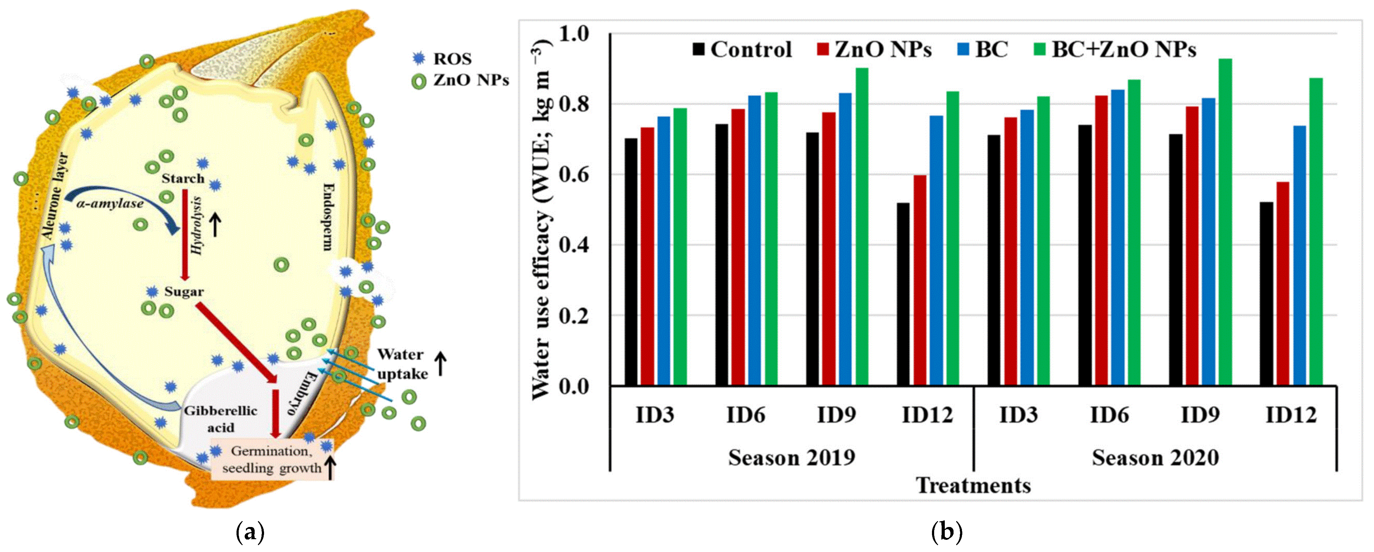 Plants 12 00778 g009