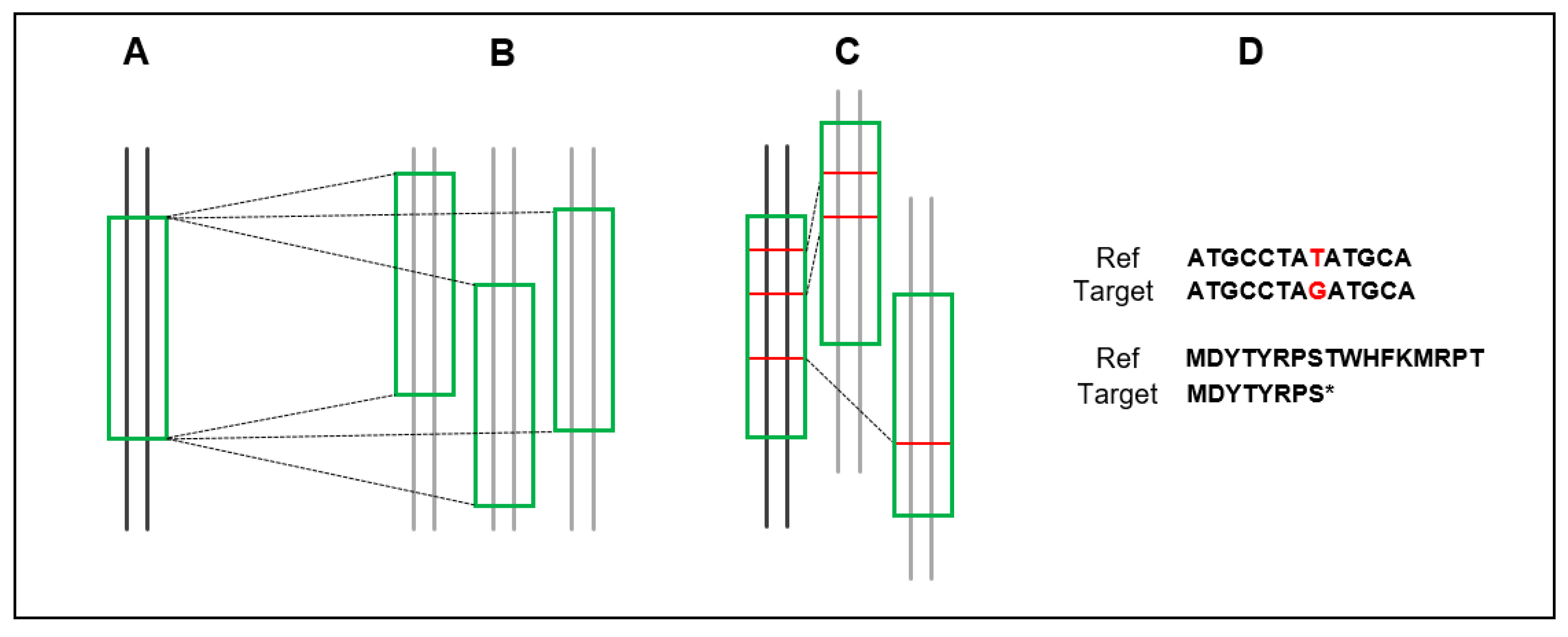Plants 12 00779 g001