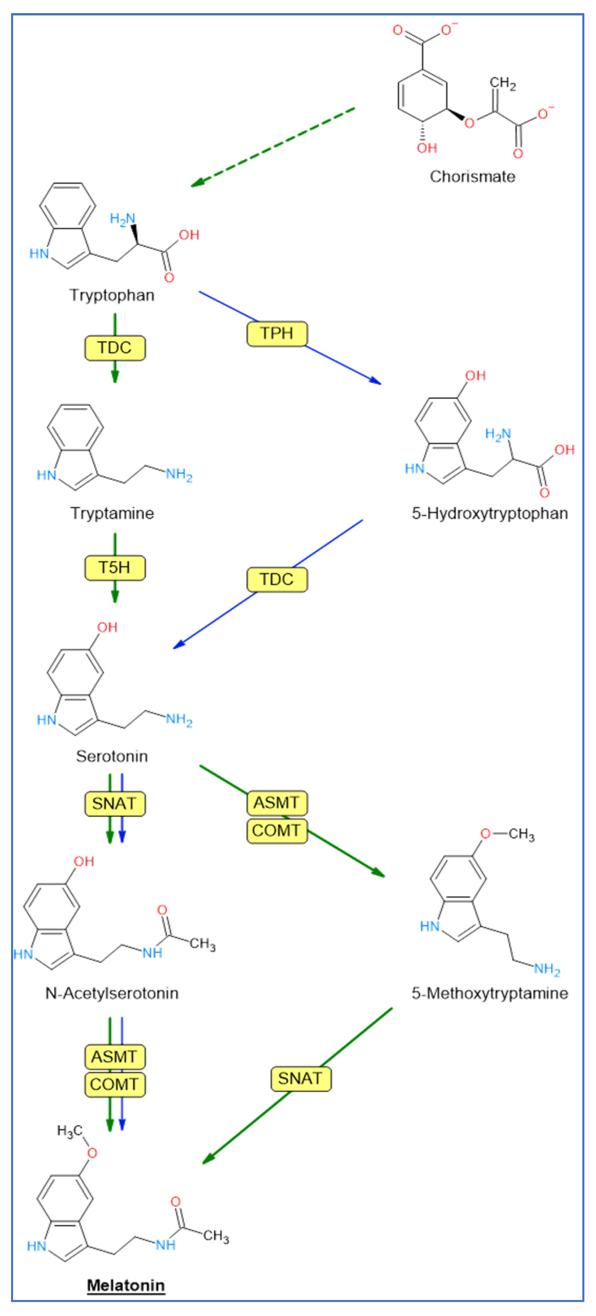 Plants 12 00781 g001 Plants 12 00781 g001