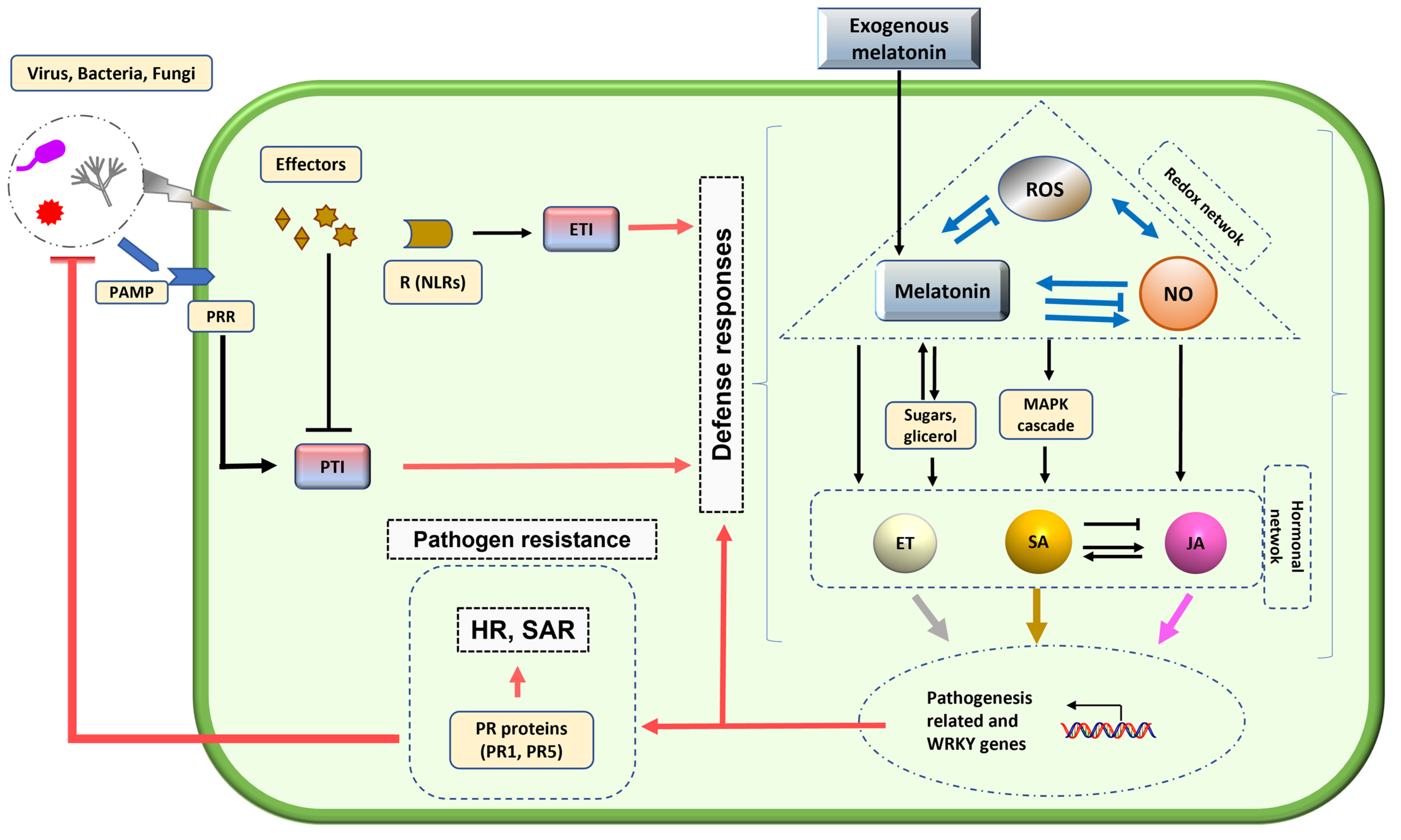 Plants 12 00781 g002 Plants 12 00781 g002