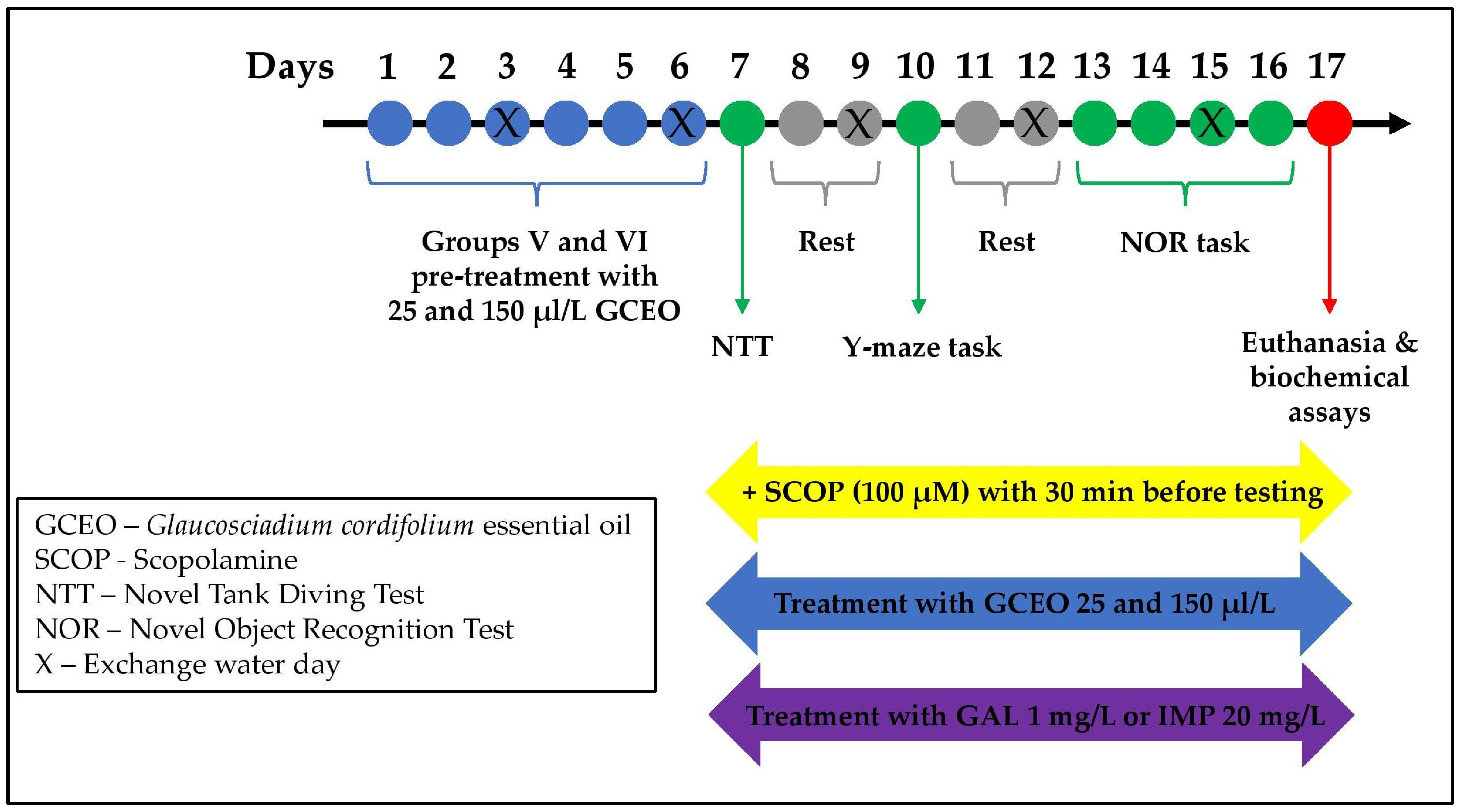 Plants 12 00784 g007