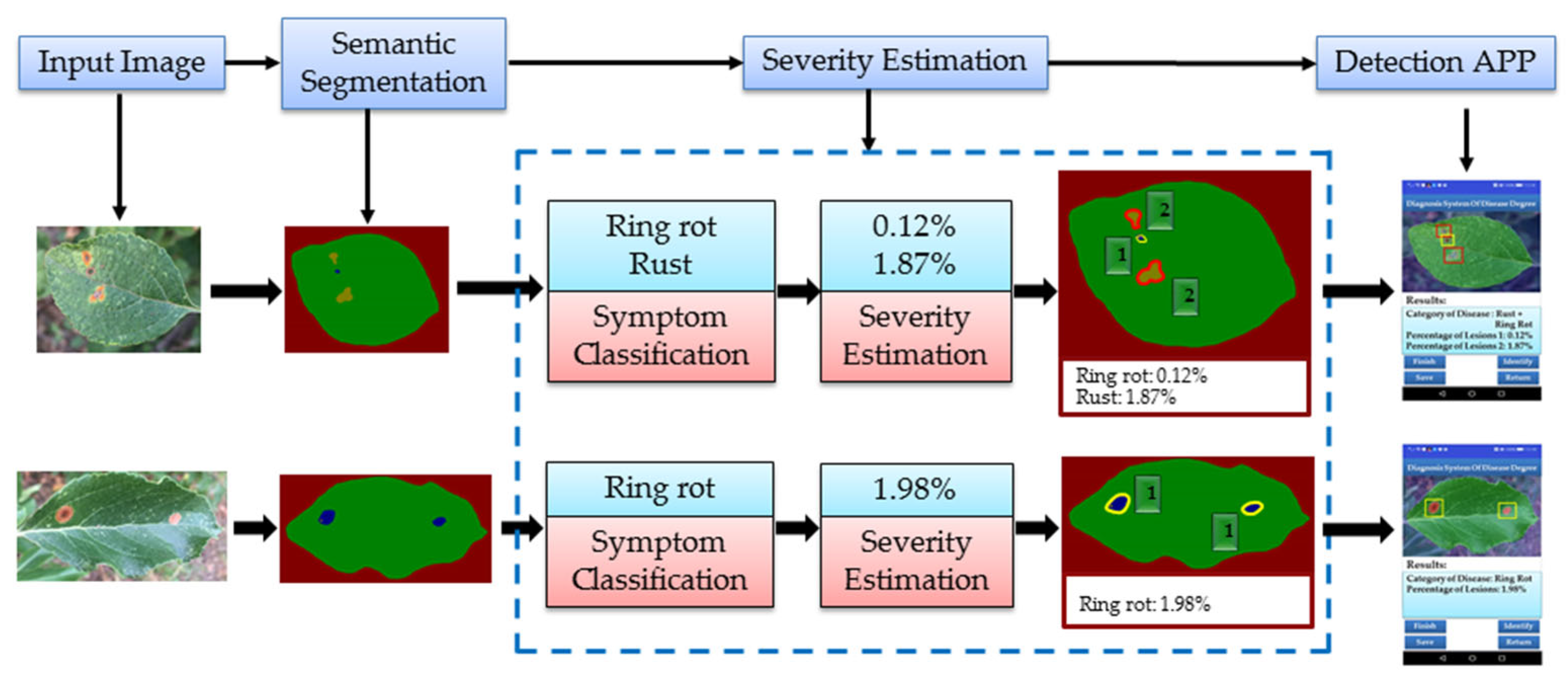 Plants 12 00786 g006