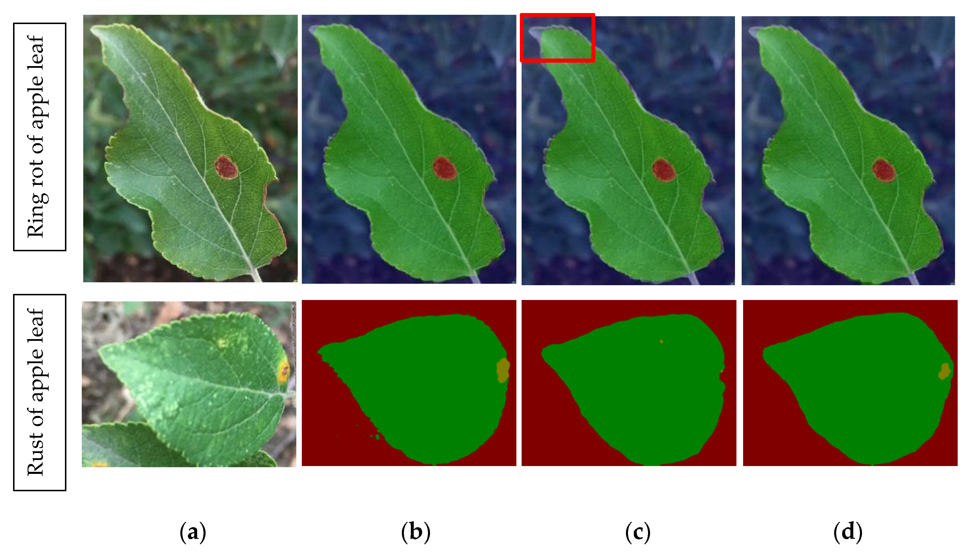 Plants 12 00786 g007