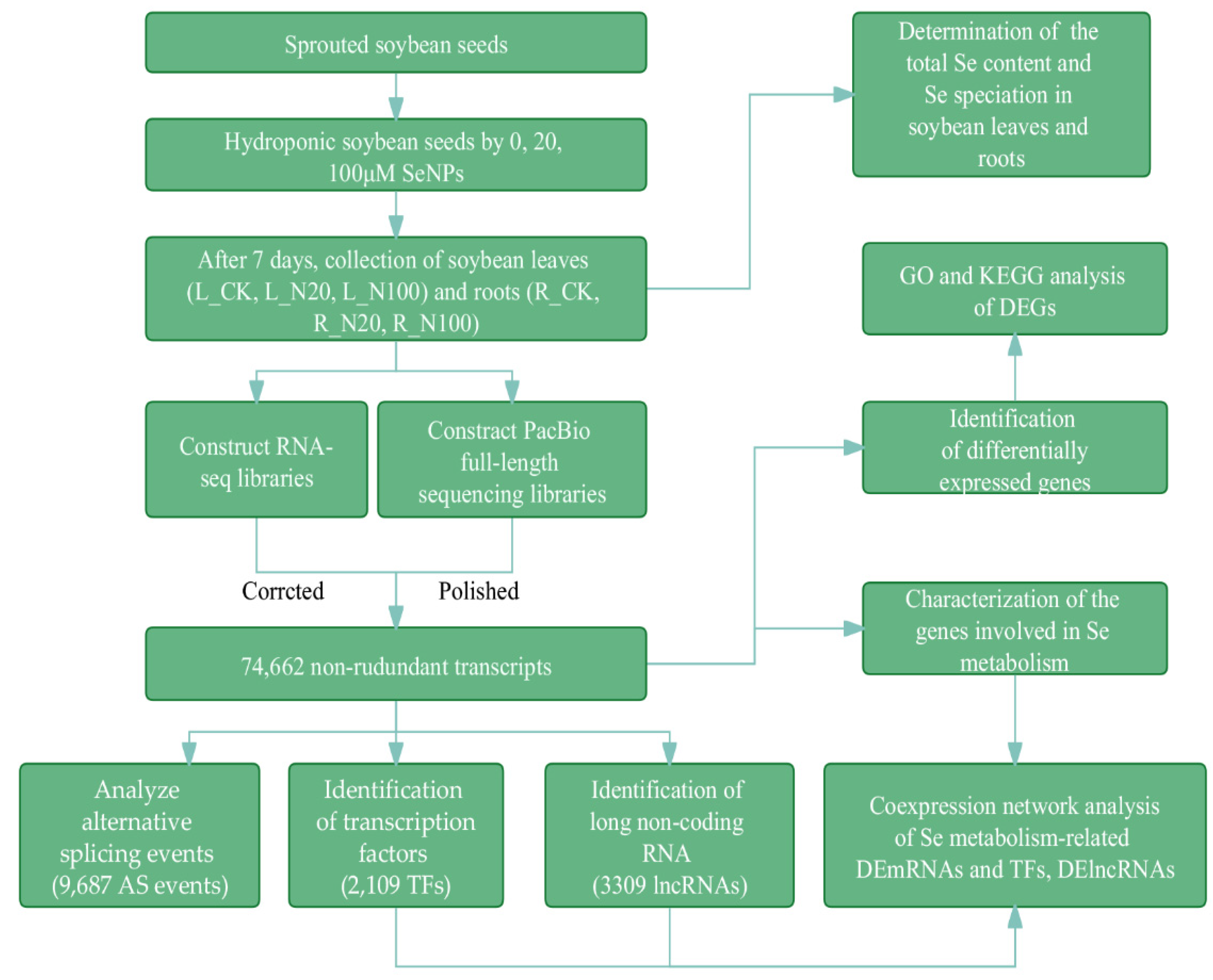 Plants 12 00789 g001 Plants 12 00789 g001