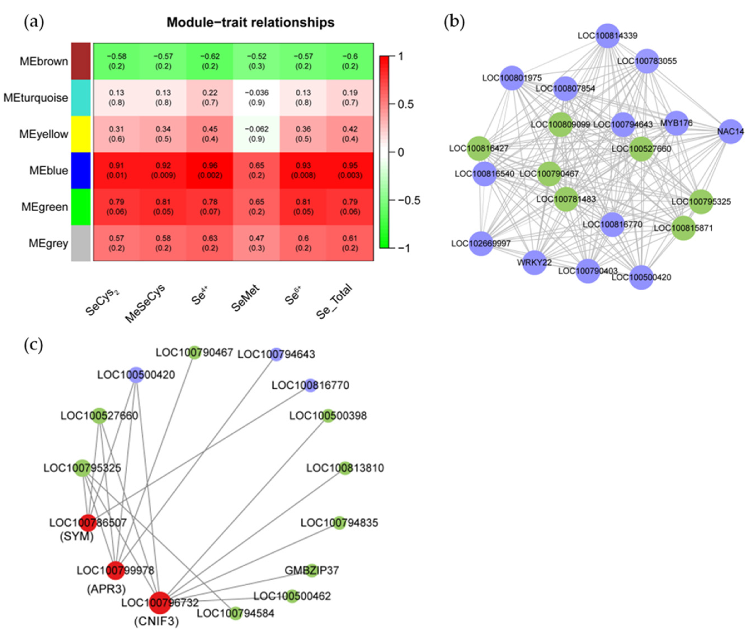Plants 12 00789 g005 Plants 12 00789 g005
