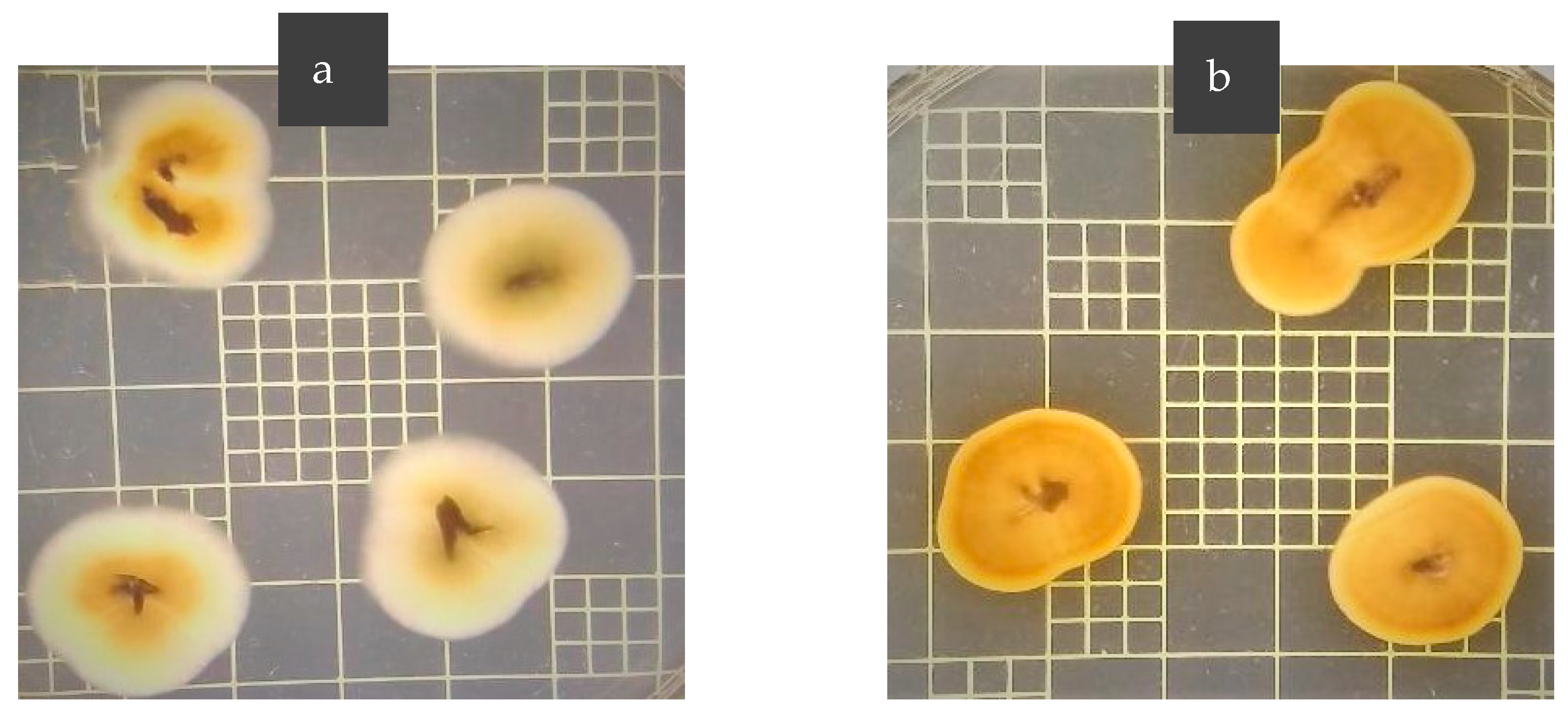 Plants 12 00792 g002 Plants 12 00792 g002